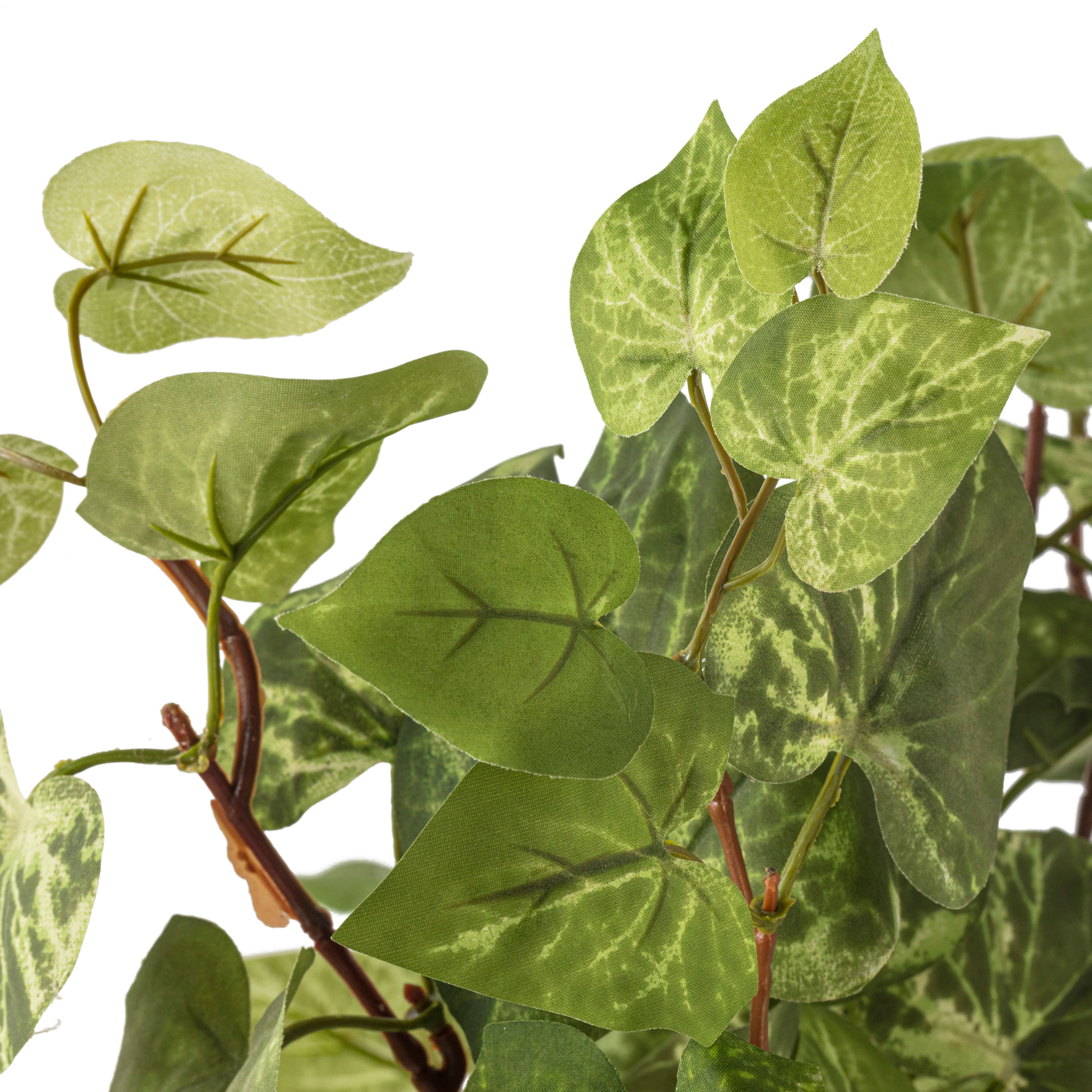 8 Pack: Yellow &#x26; Green Potato Leaf Bush by Ashland&#xAE;