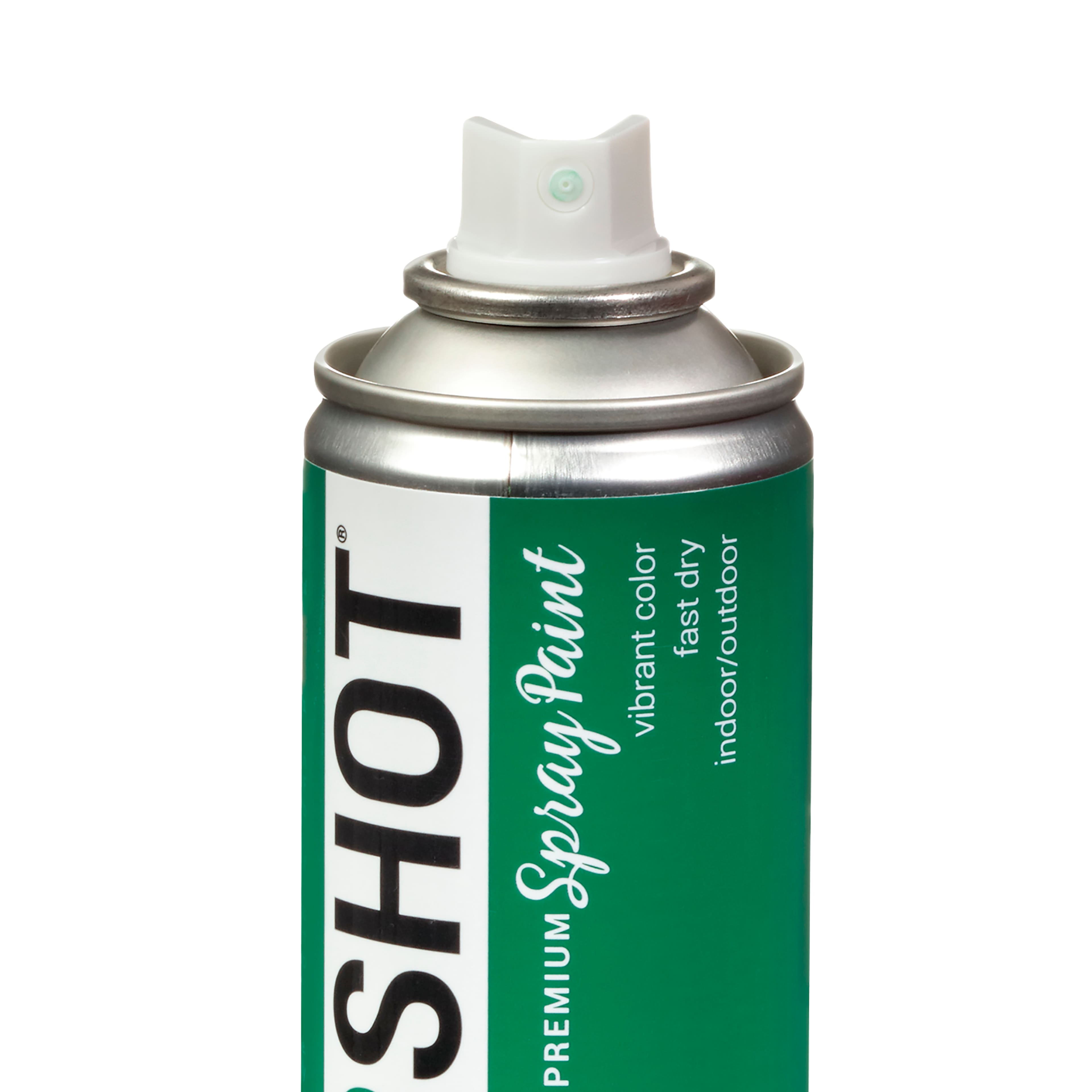 COLORSHOT&#xAE; Premium Gloss Spray Paint