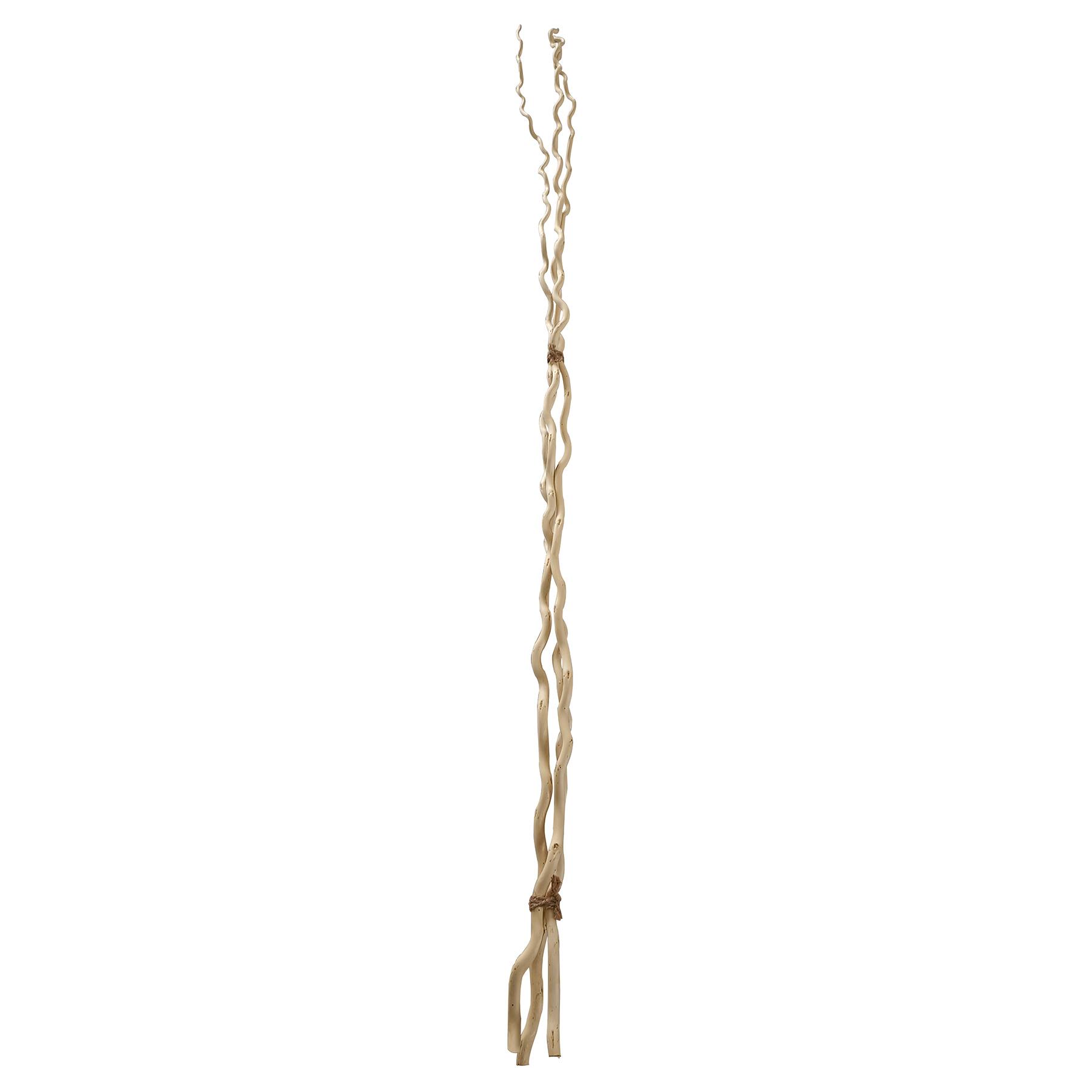 6 Pack: Cream Curly Willow Branch Bundle by Ashland&#xAE;