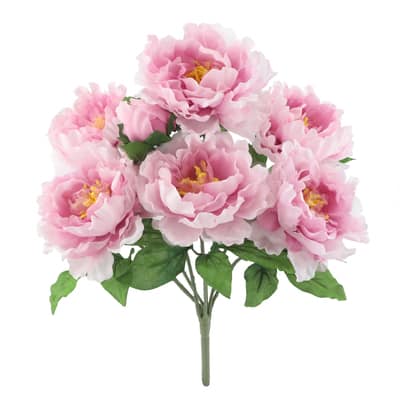 Sheer Pink Peony Bush by Ashland® | Michaels