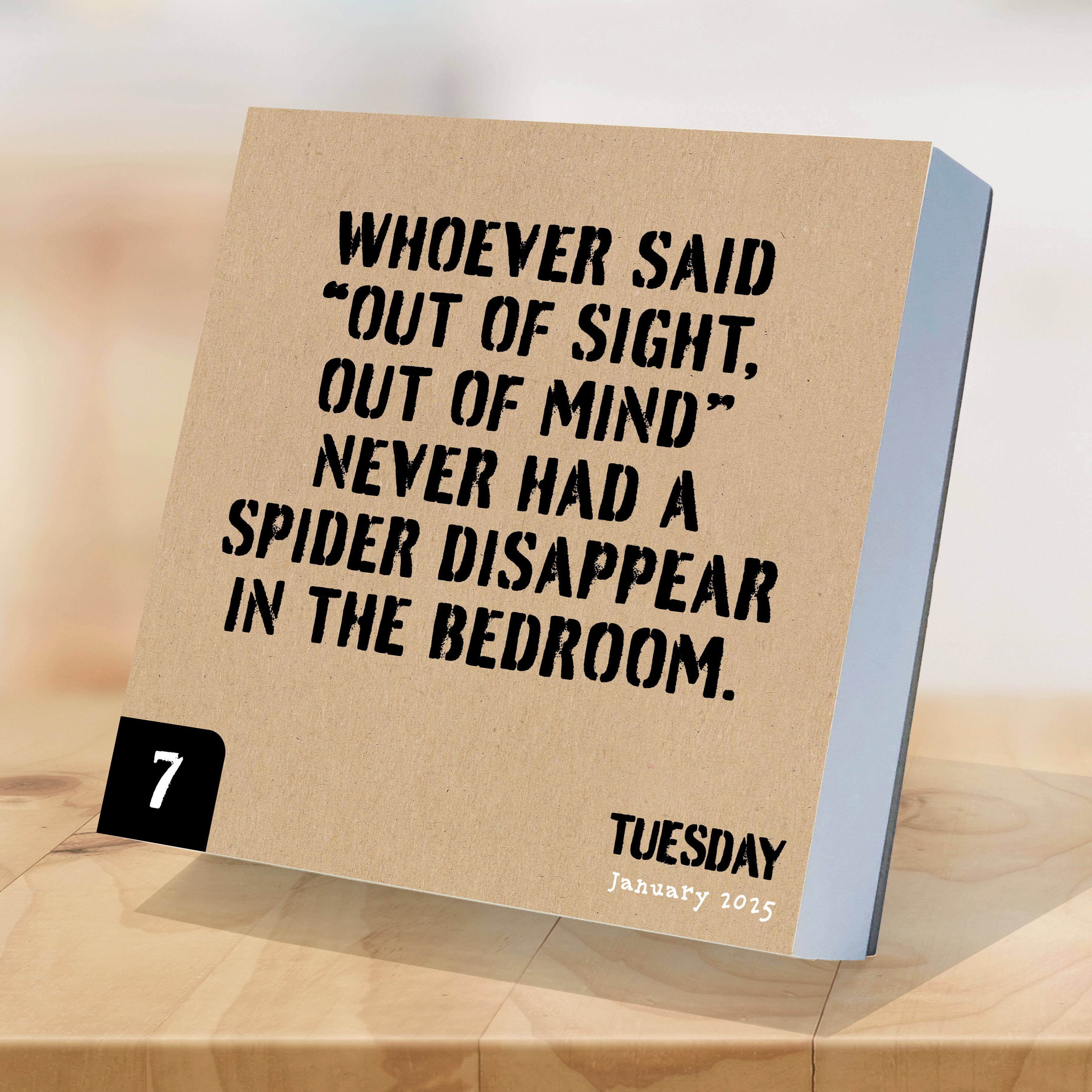 TF Publishing 2025 Anti Affirmations Daily Desktop Calendar