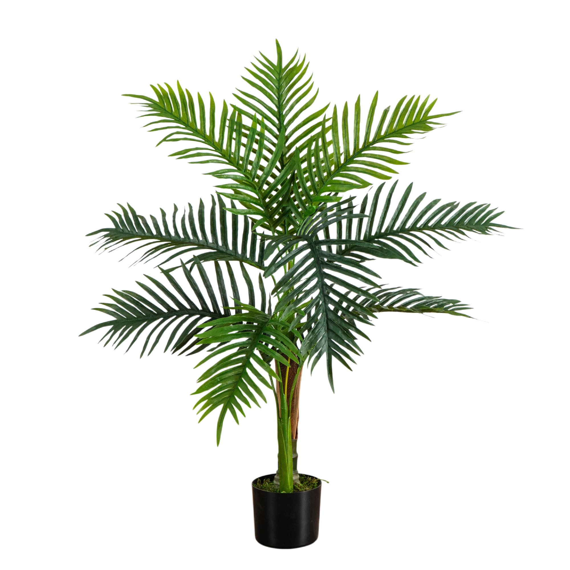 3ft. UV Resistant Artificial Double Robellini Palm Tree (Indoor/Outdoor)