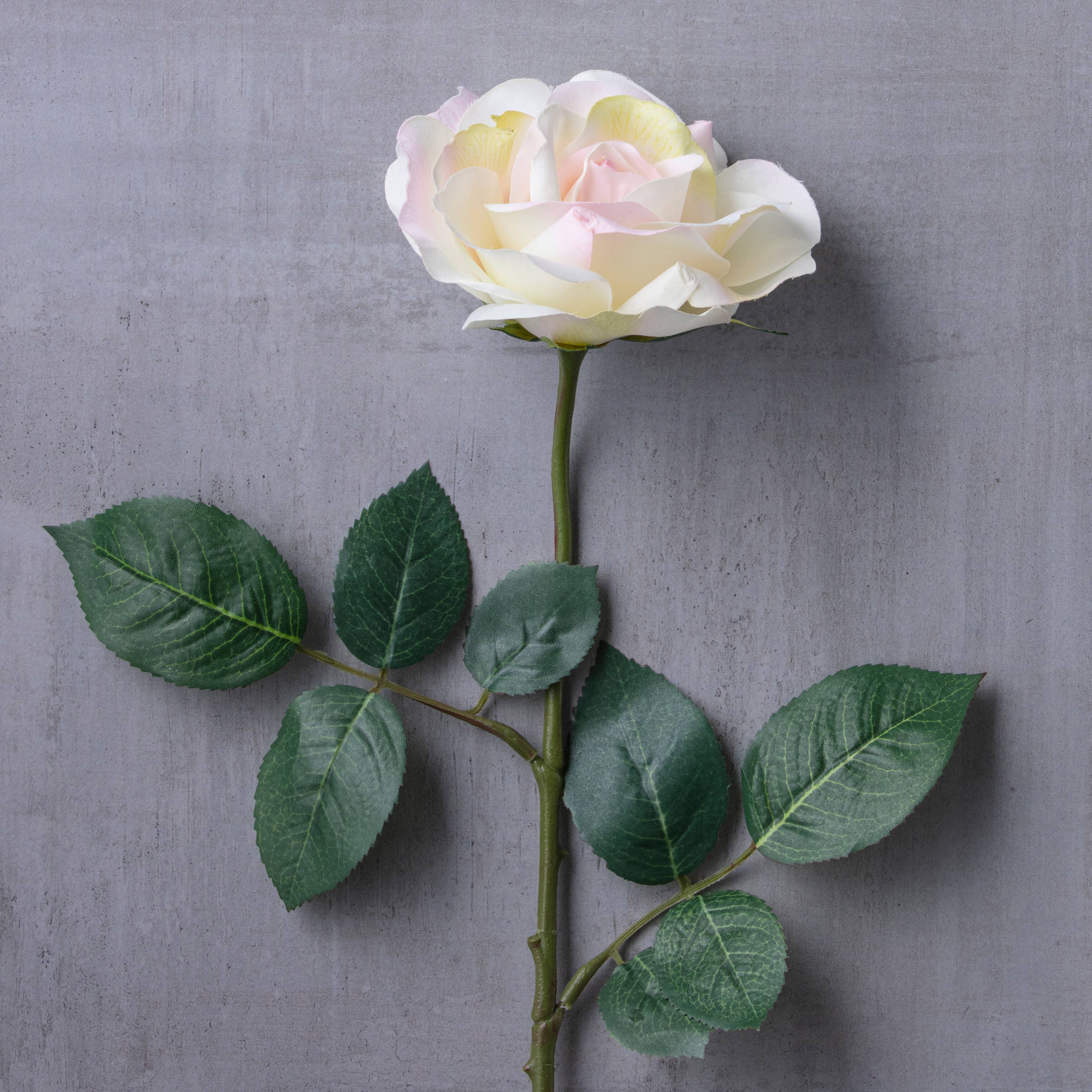 12 Pack: White Princess Rose Stem by Ashland&#xAE;