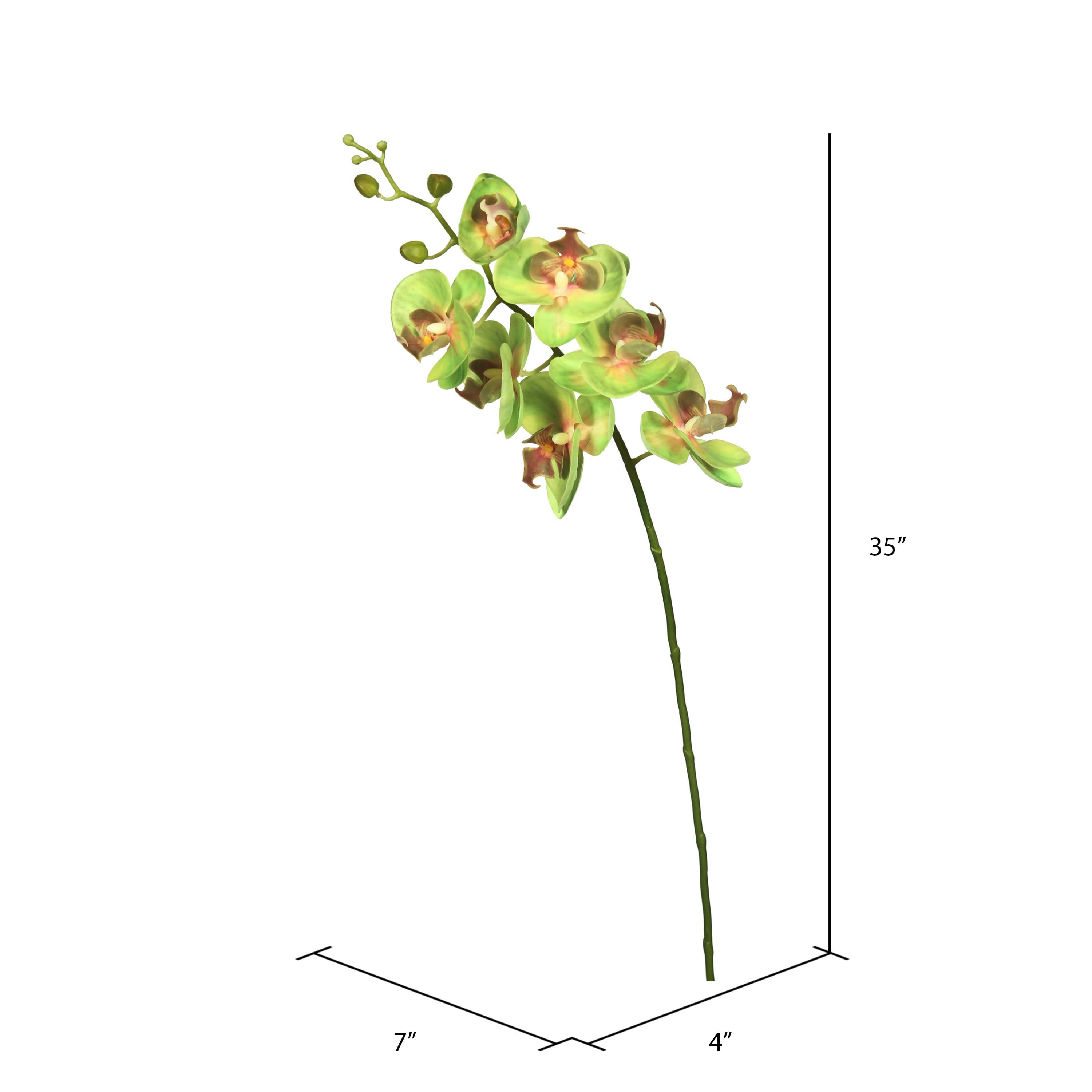 Green Real Touch Orchid Artificial Floral Stem