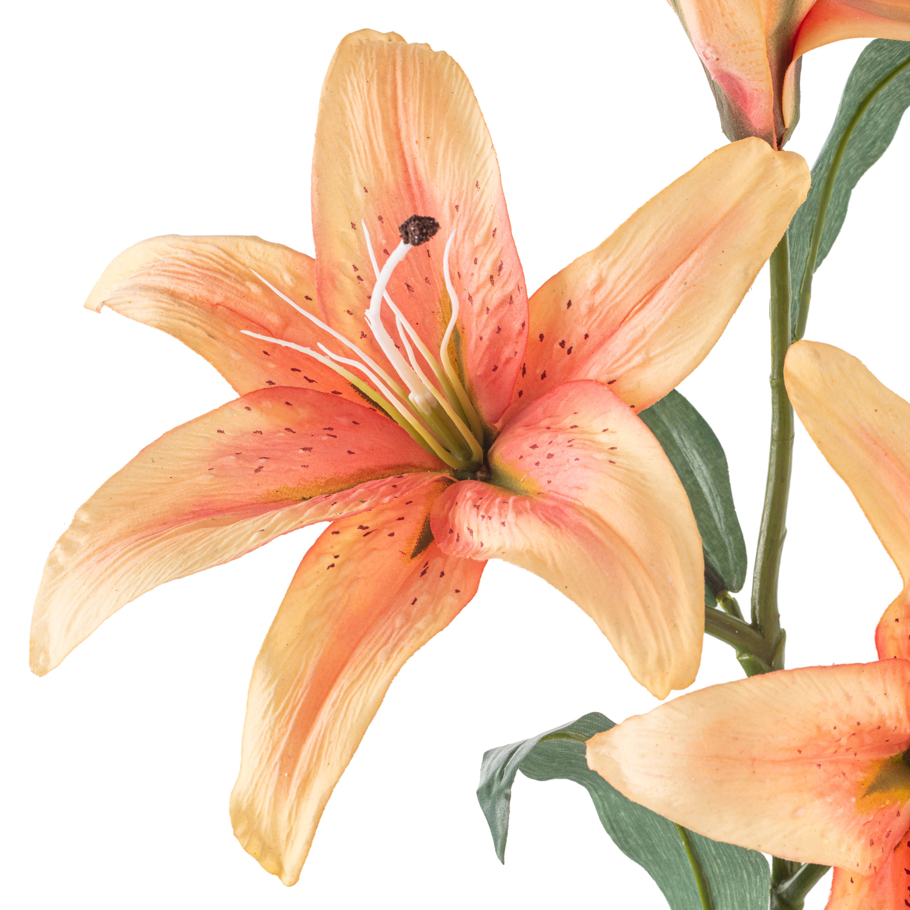 12 Pack: Flame Casablanca Lily Stem by Ashland®