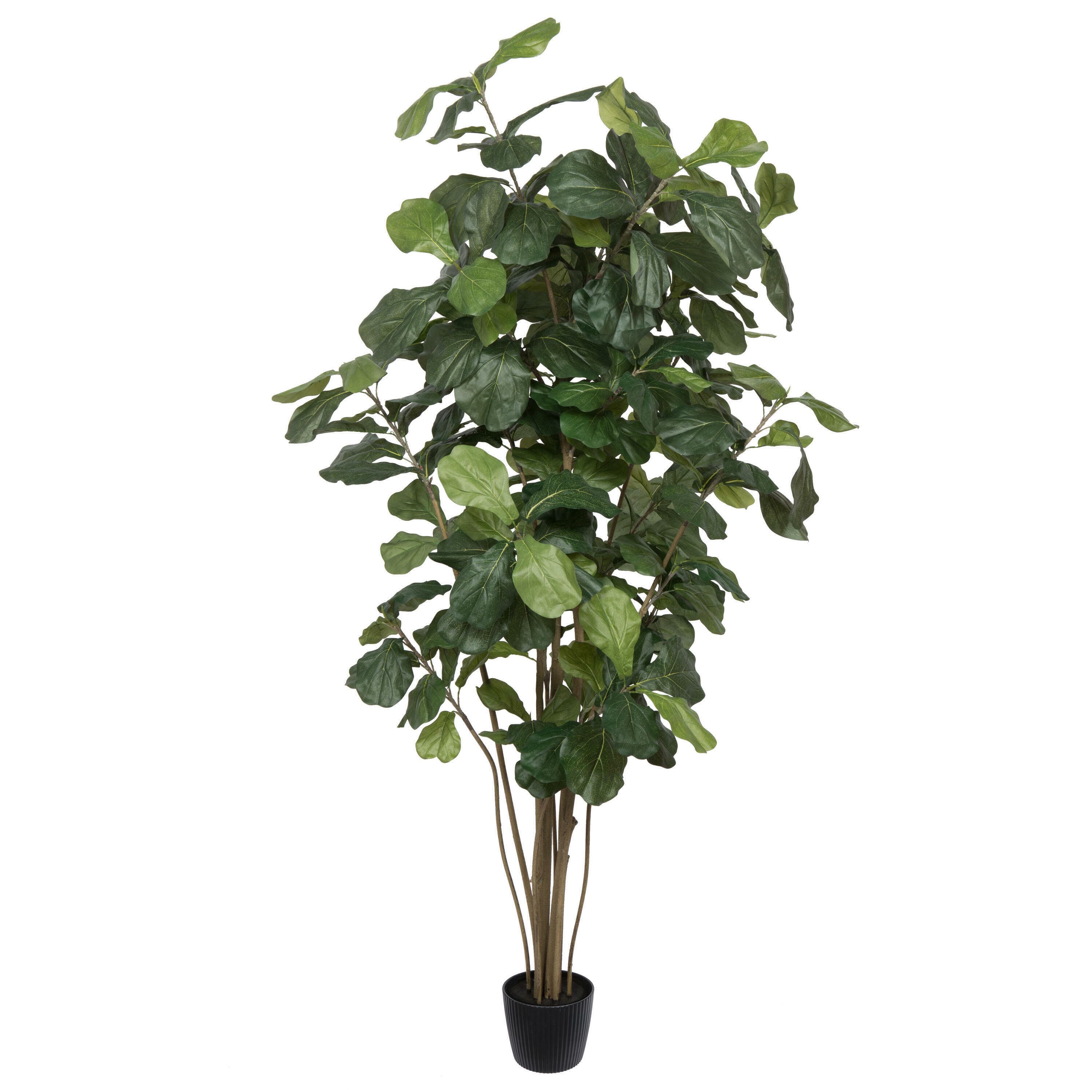 7ft. Potted Artificial Green Fiddle Tree