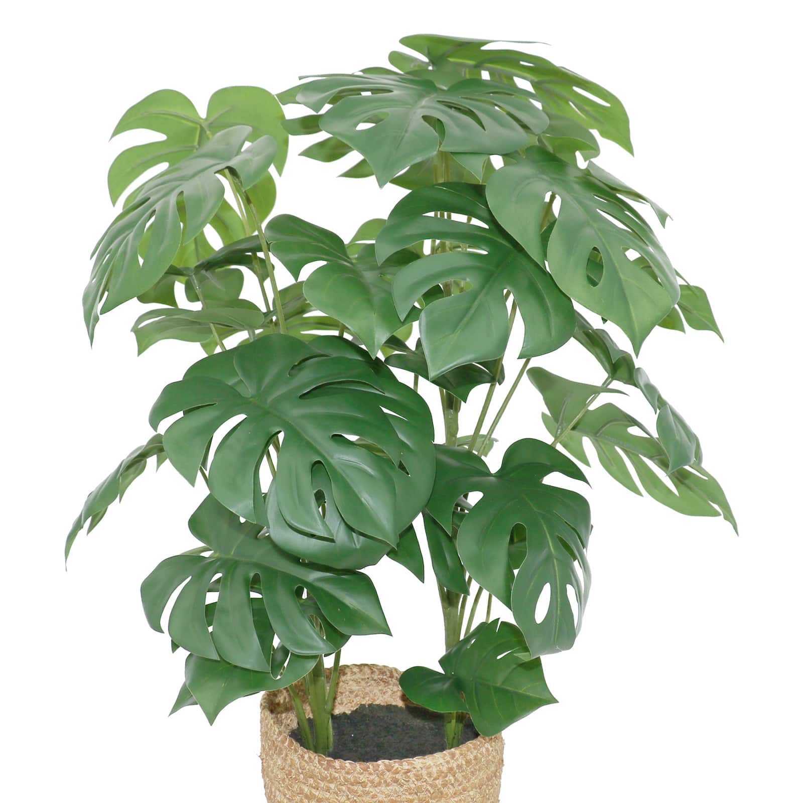 25&#x22; Potted Monstera Plant by Ashland&#xAE;