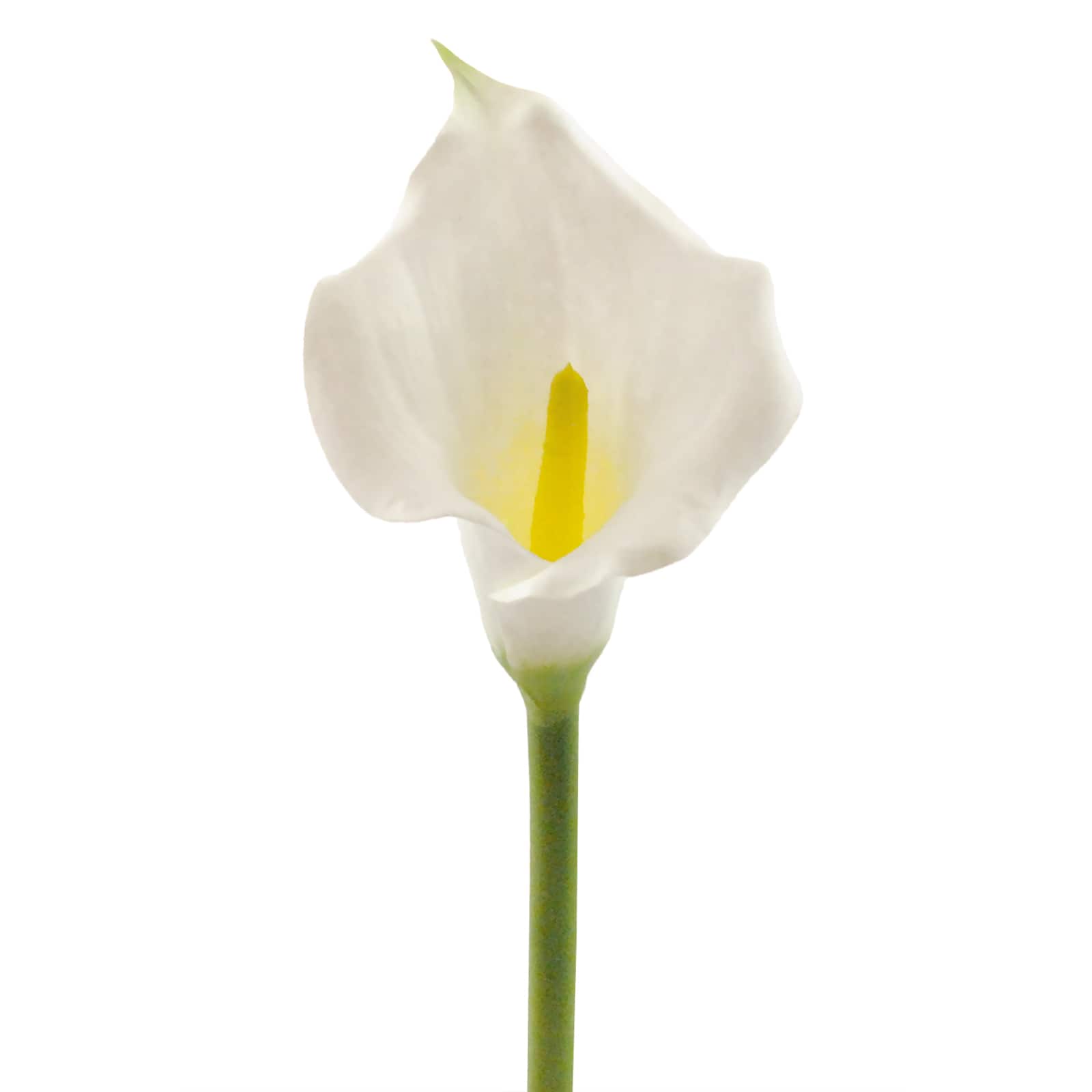 DII&#xAE; White Flower Cala Lily Set, 3ct.