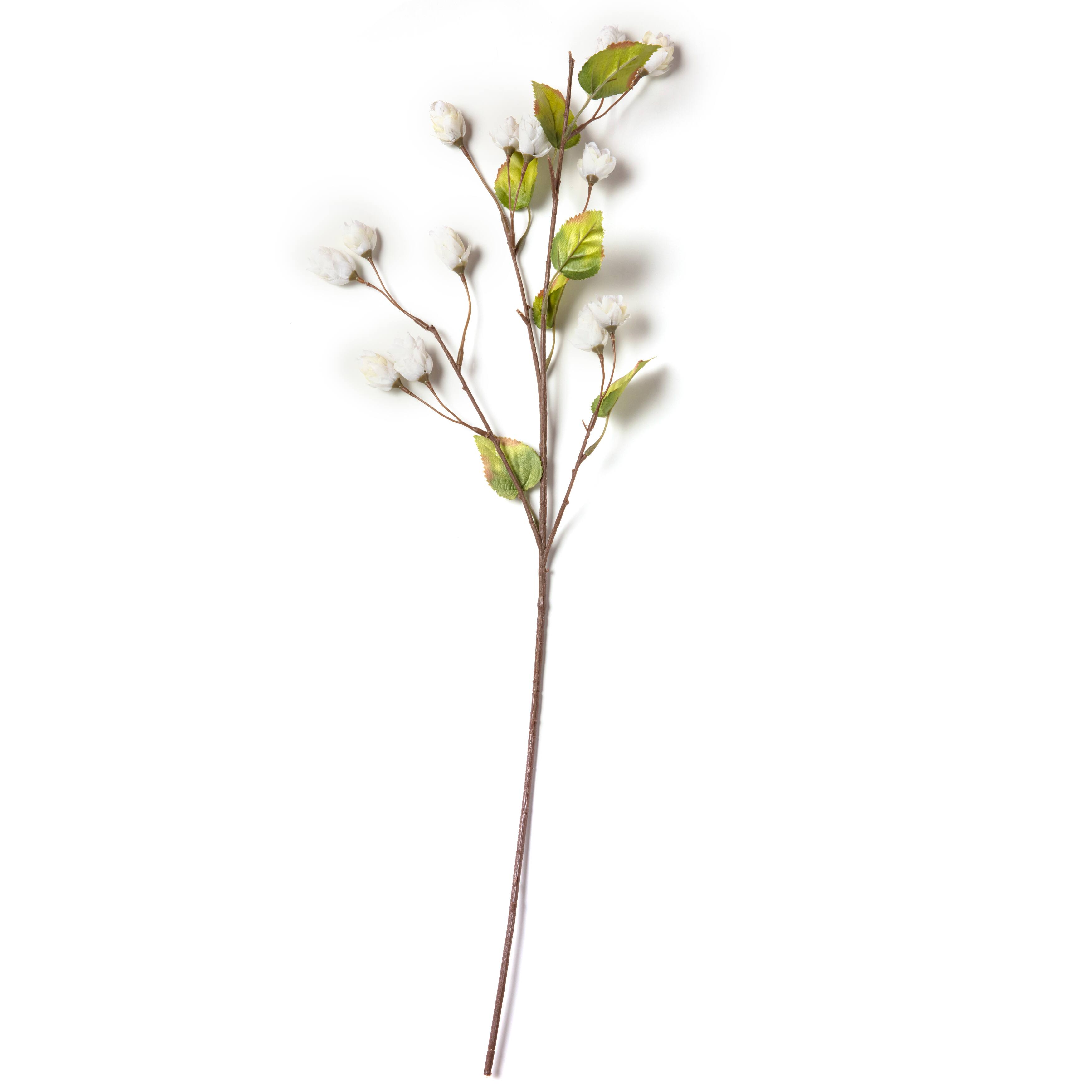 12 Pack: Cream Hops Spray by Ashland&#xAE;