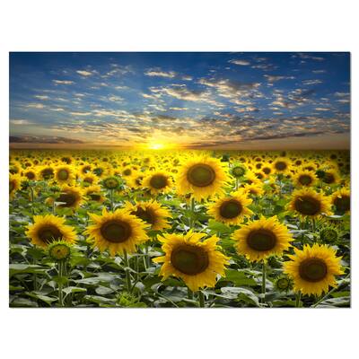 Designart - Field of Blooming Sunflowers - Large Flower Canvas Wall Art ...