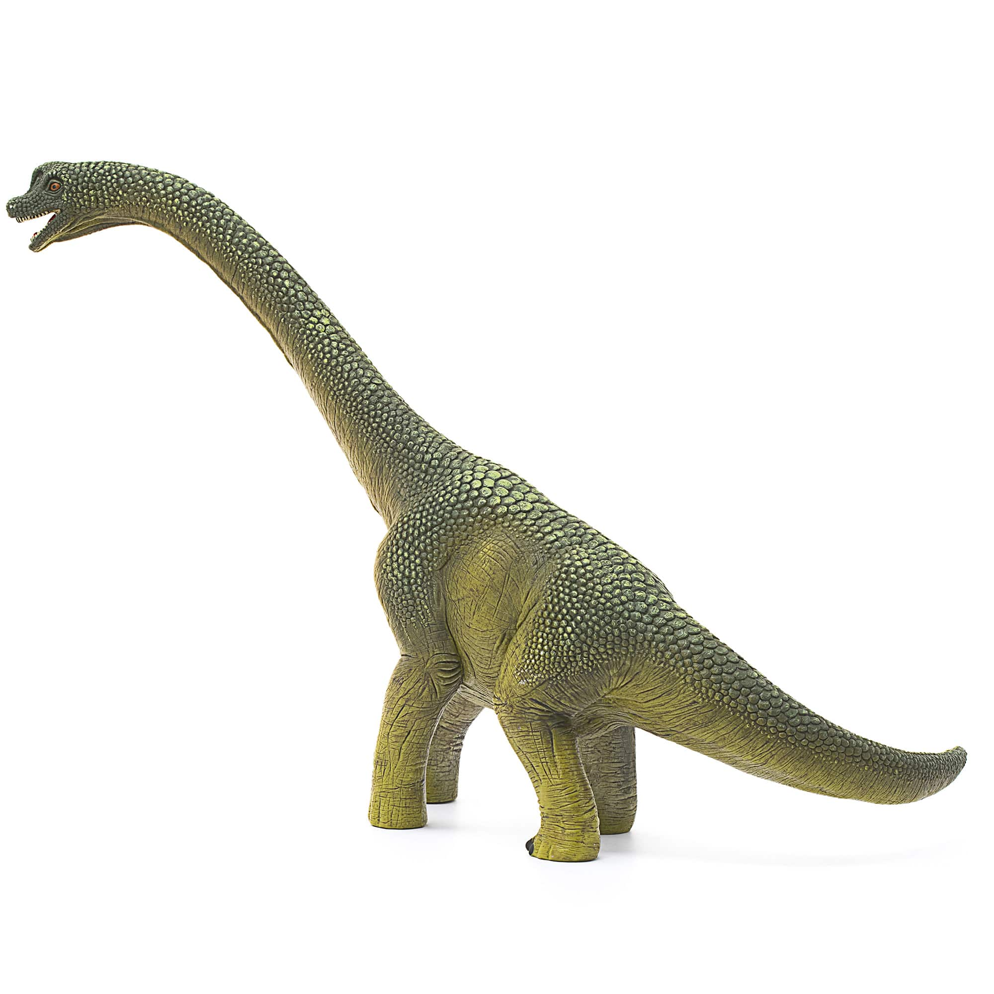 schleich&#xAE; Dinosaurs 9.5&#x22; Brachiosaurus Action Figure