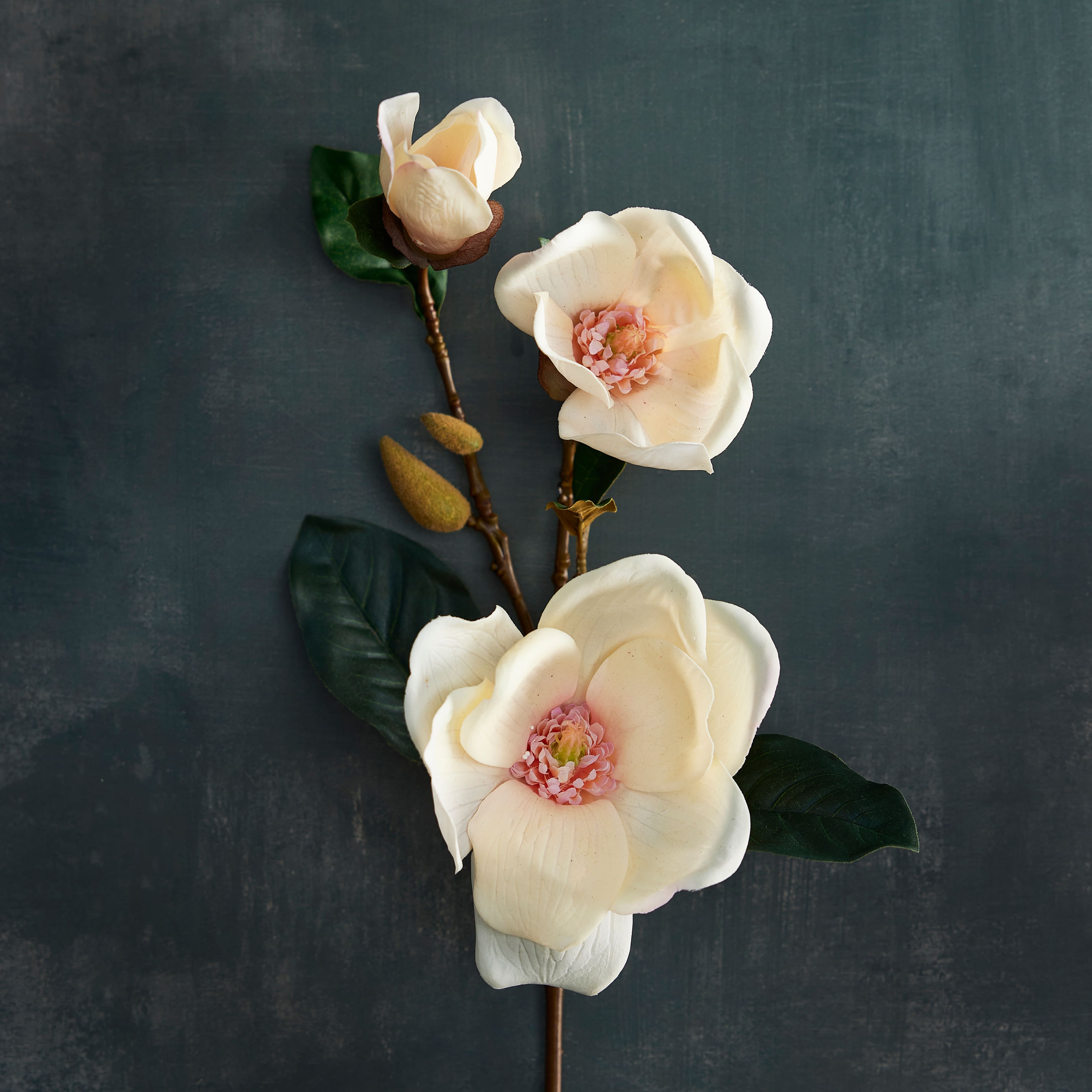 Coral Magnolia Stem by Ashland&#xAE;