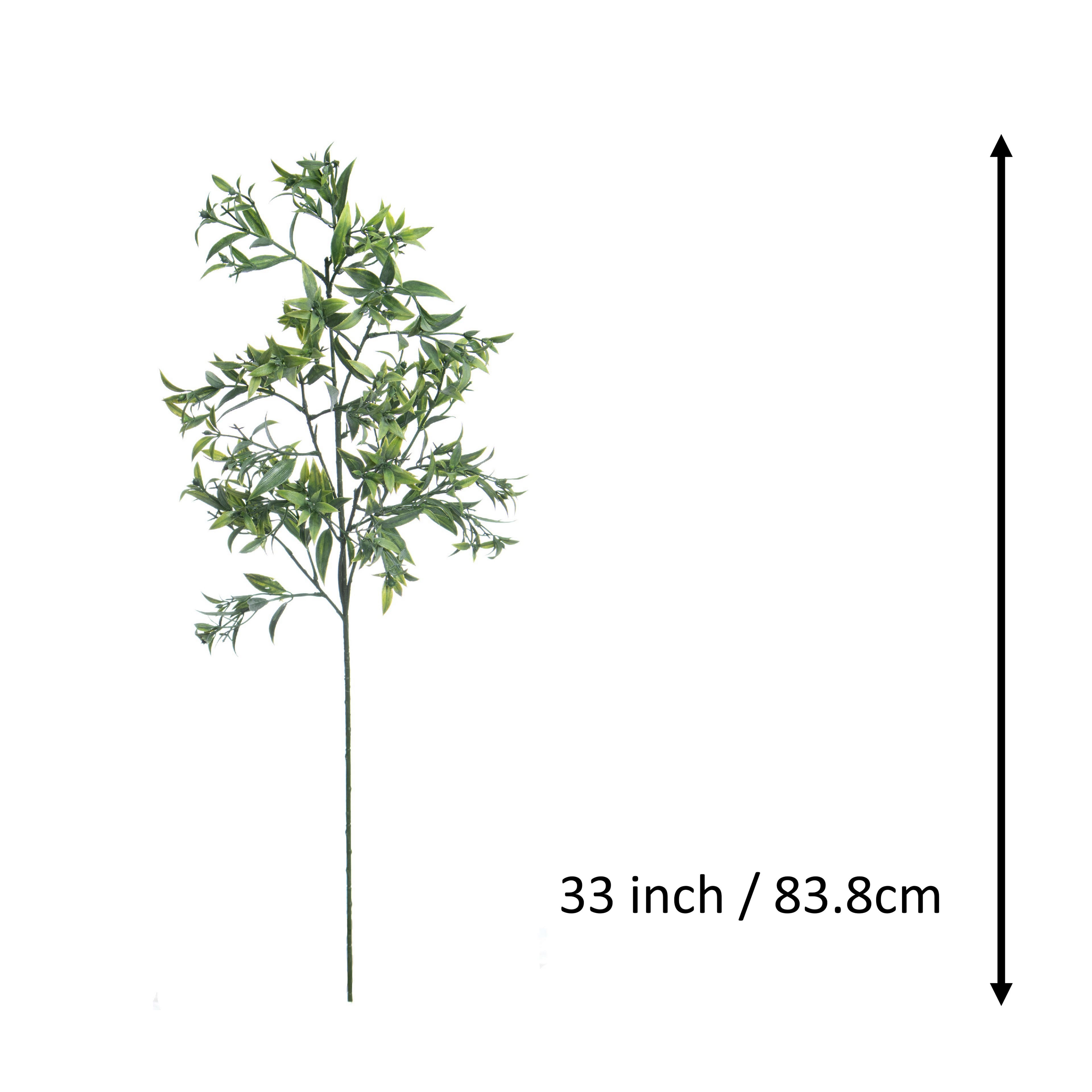 33" Green Ruscus Stem by Ashland®