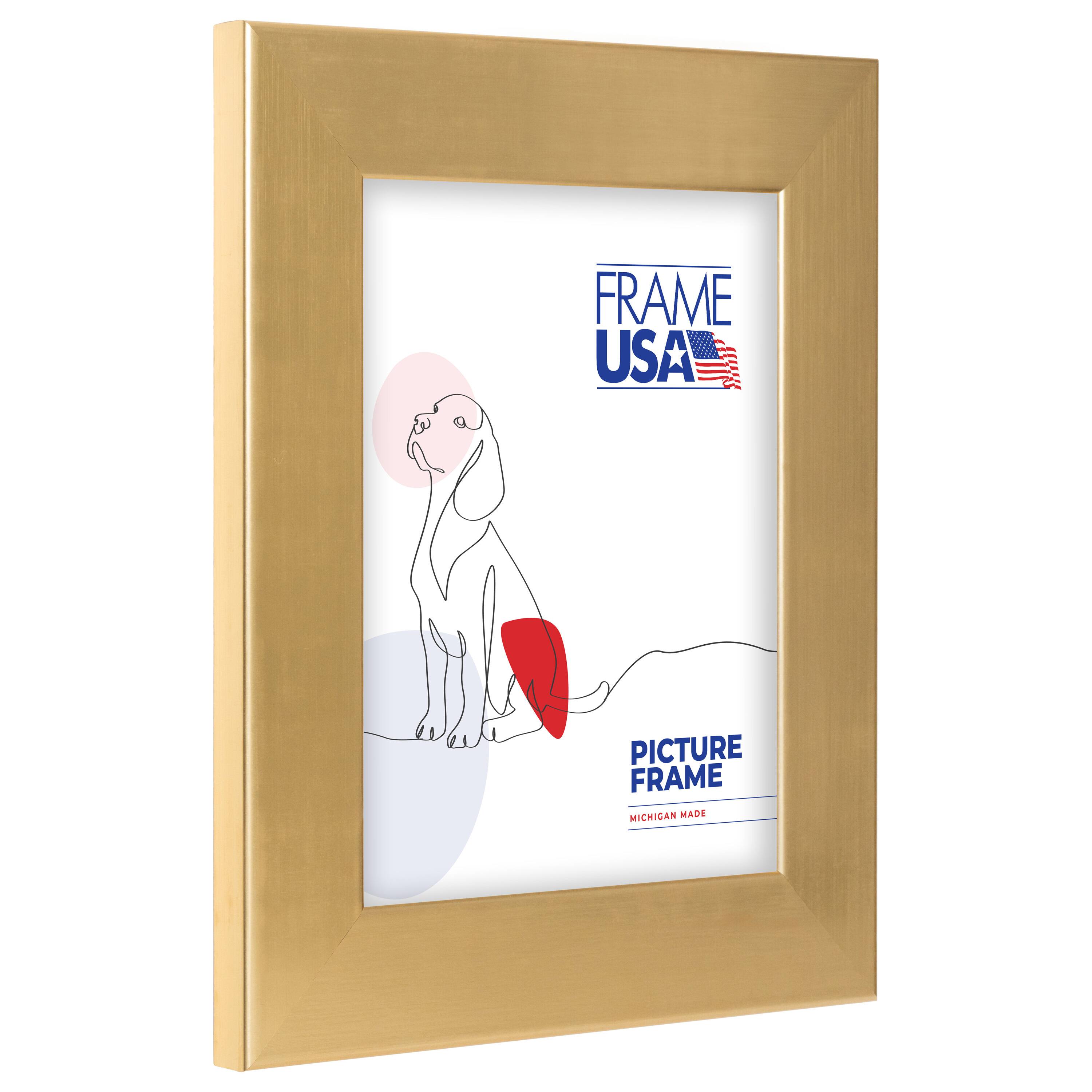 Frame USA Stainless Gold Single Image Picture Frame