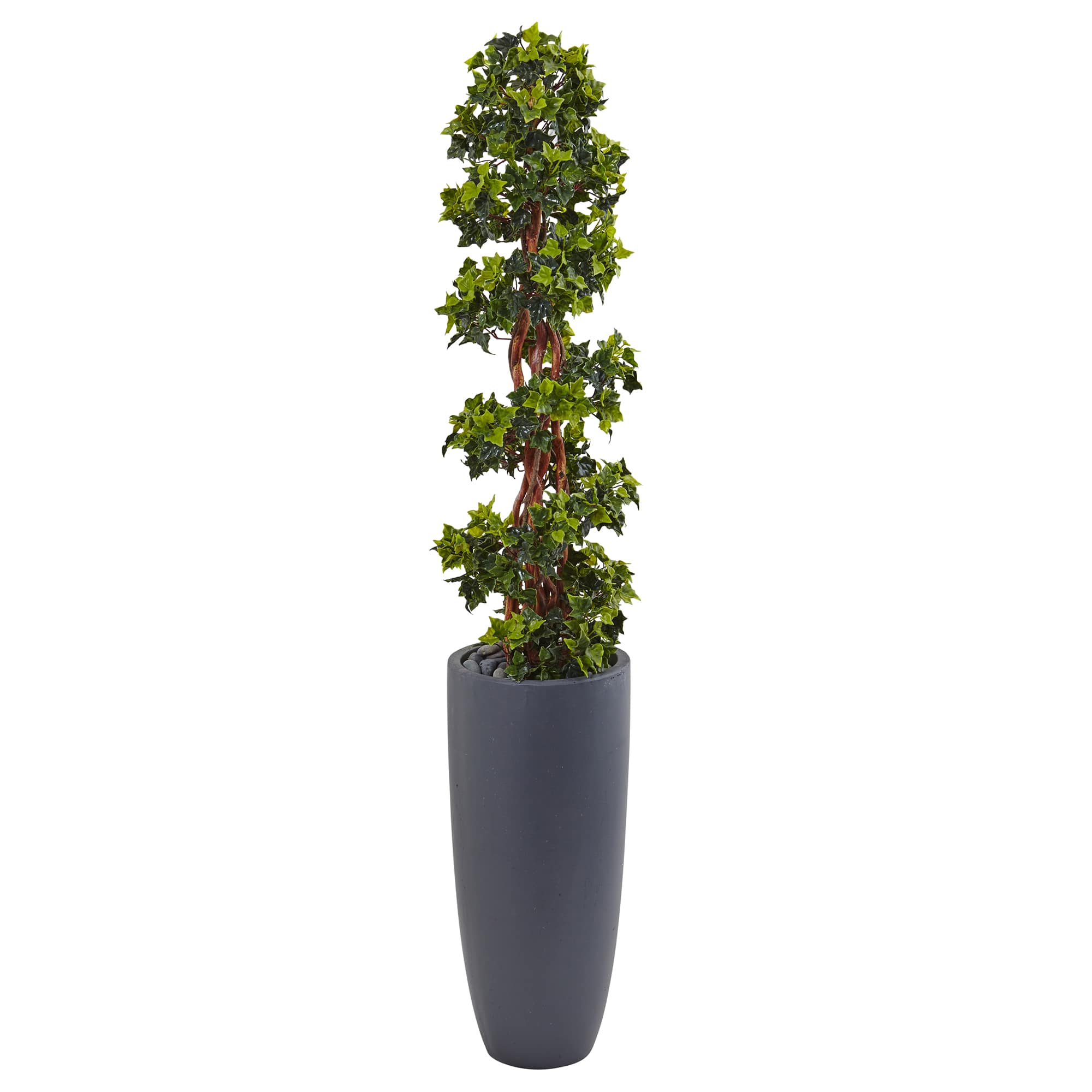 5ft. English Ivy Spiral Topiary Tree in Gray Planter