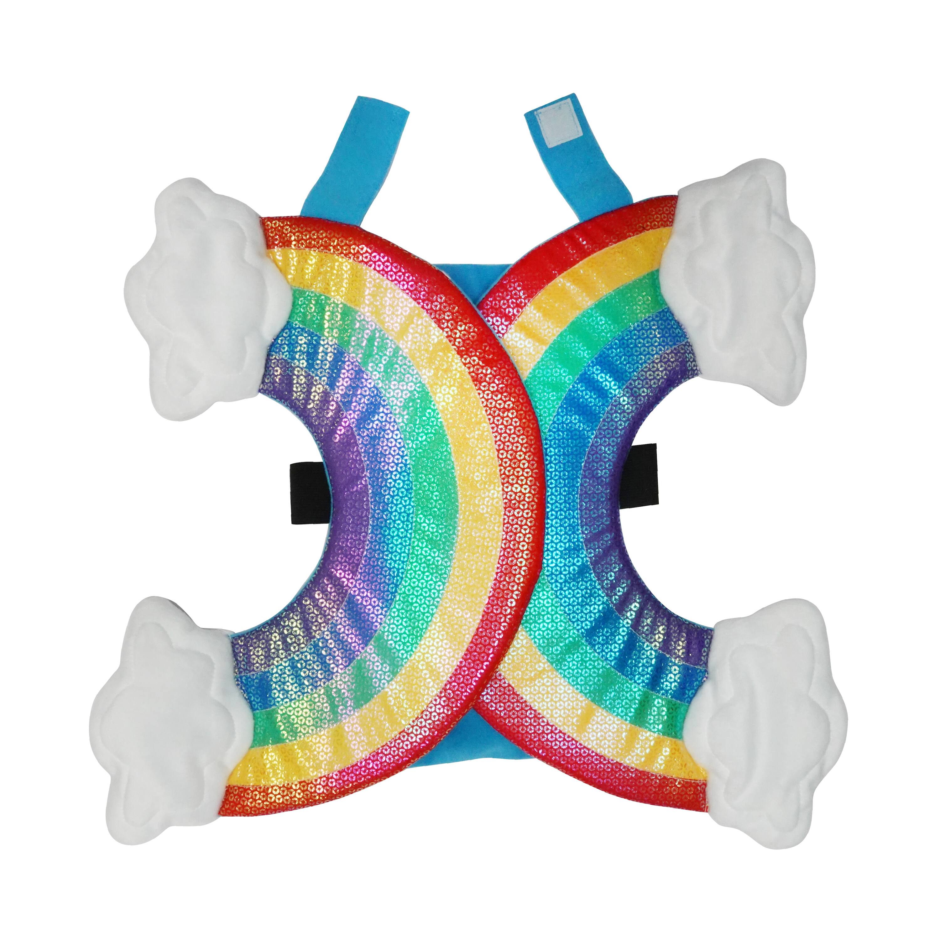 Best Furry Friends Rainbow Pet Costume