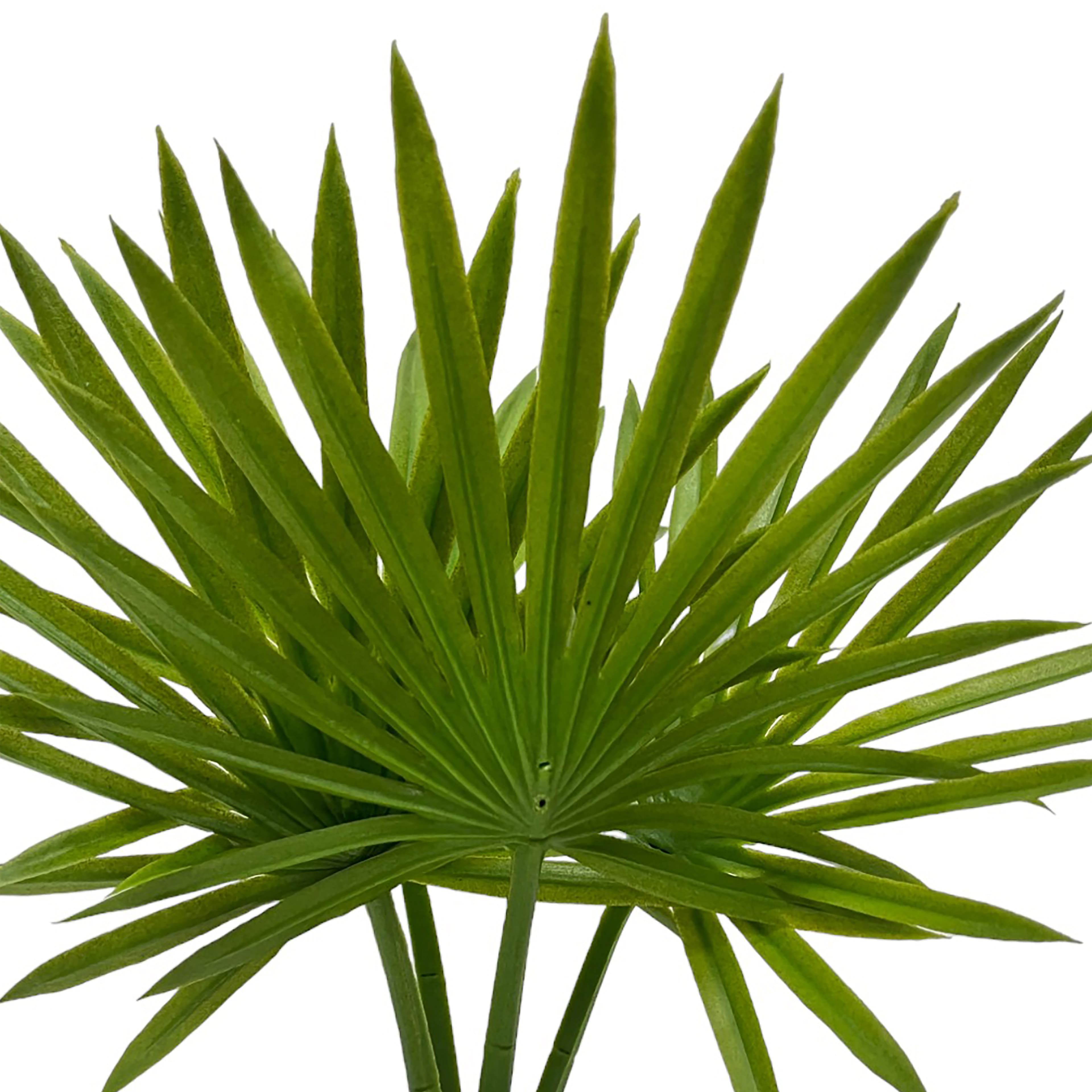 12&#x22; Palm Plant in Decorative Pot by Ashland&#xAE;