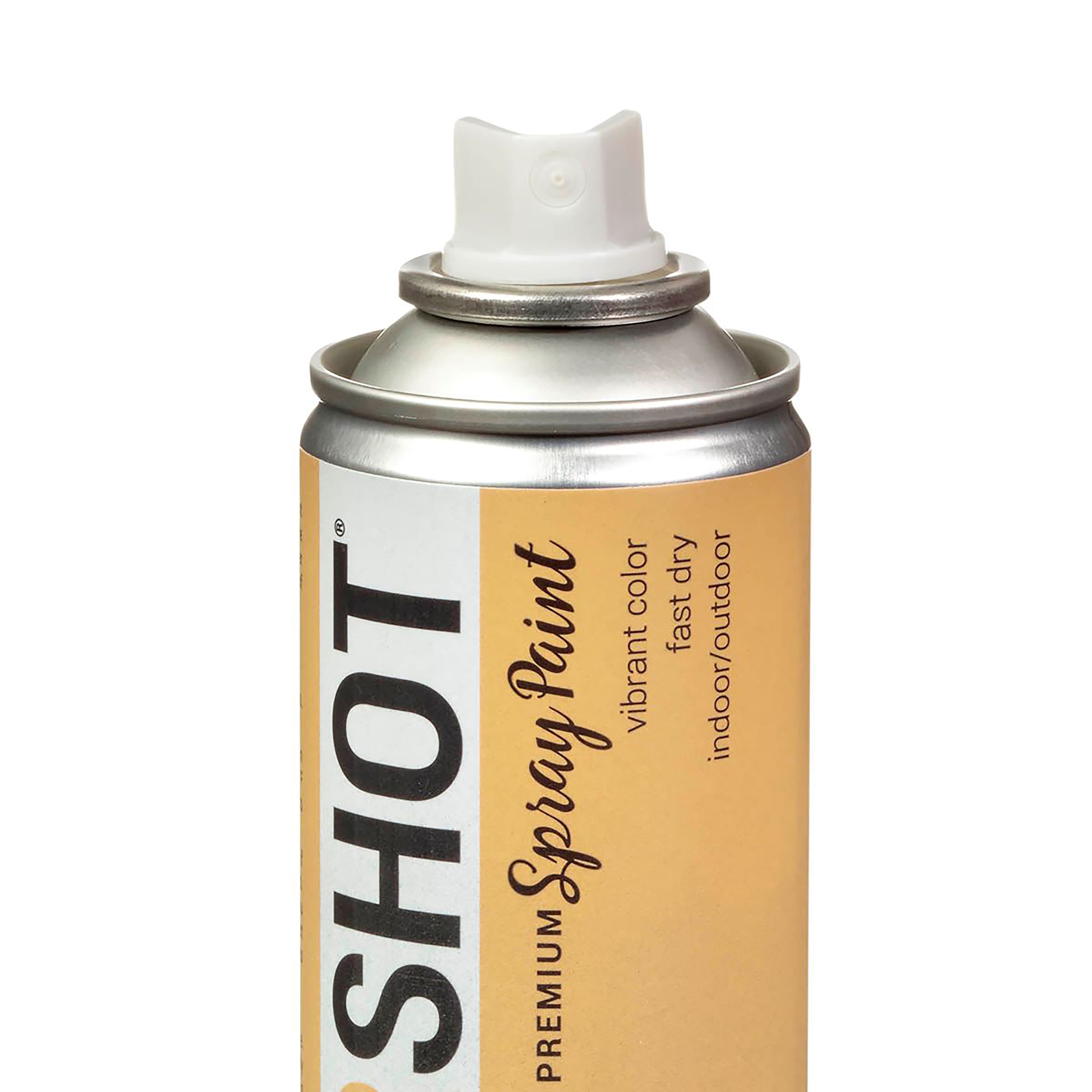 COLORSHOT® Premium Metallic Spray Paint