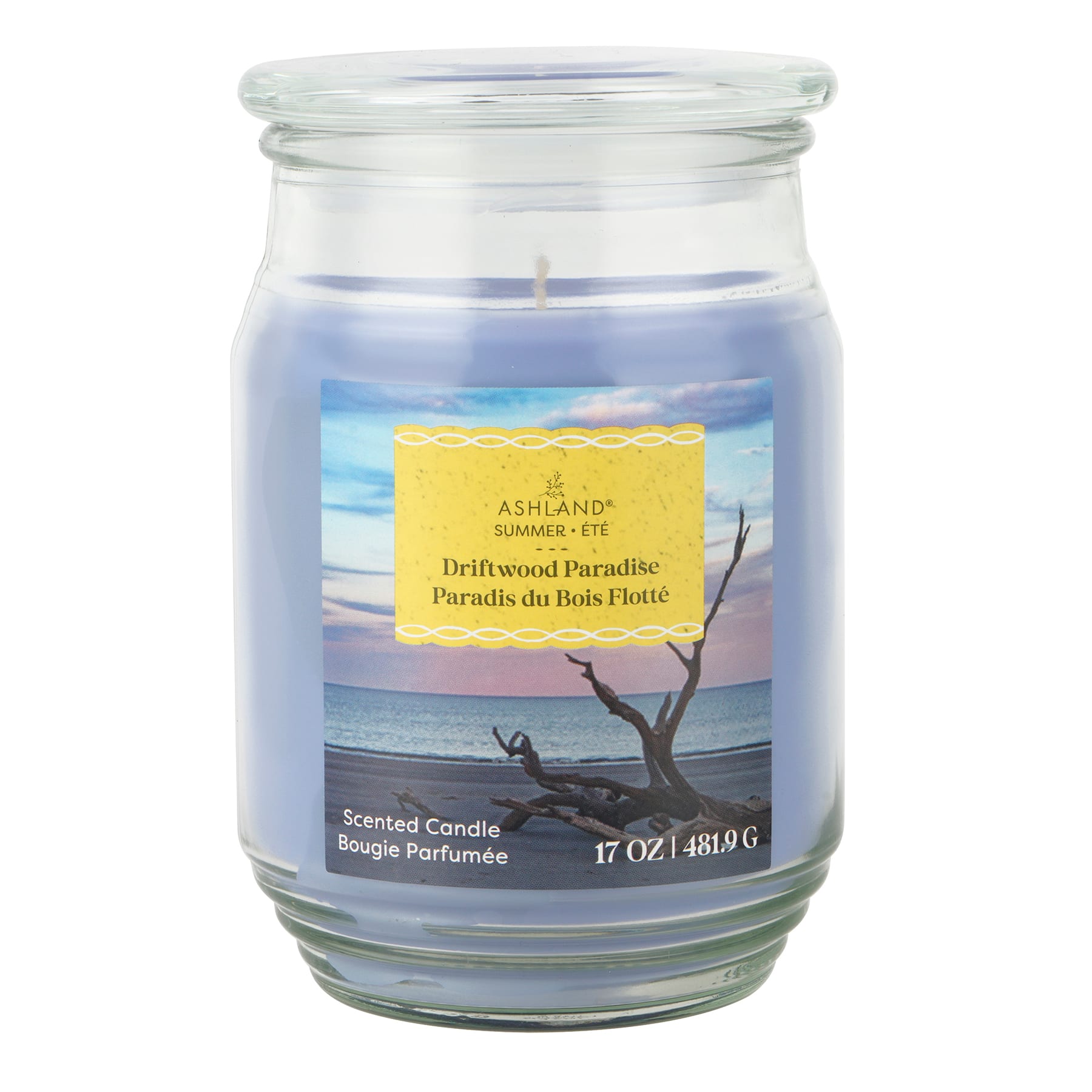 17oz. Driftwood Paradise Scented Candle by Ashland&#xAE;