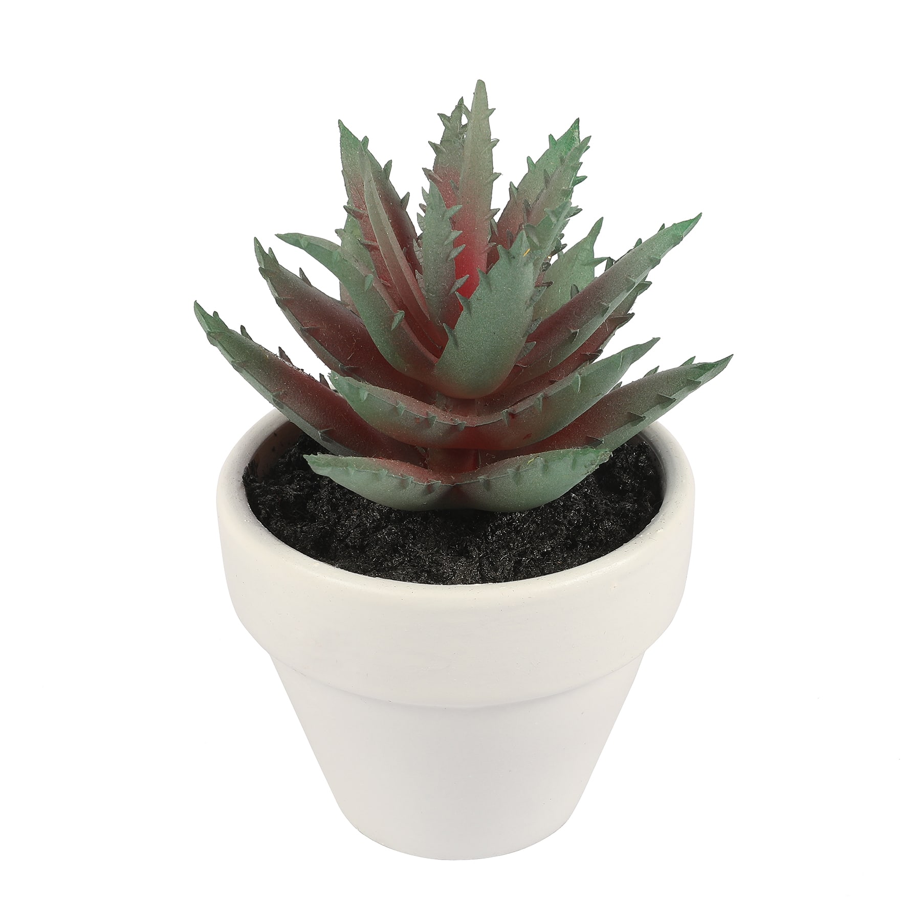 3&#x22; Potted Aloe Plant by Ashland&#xAE;