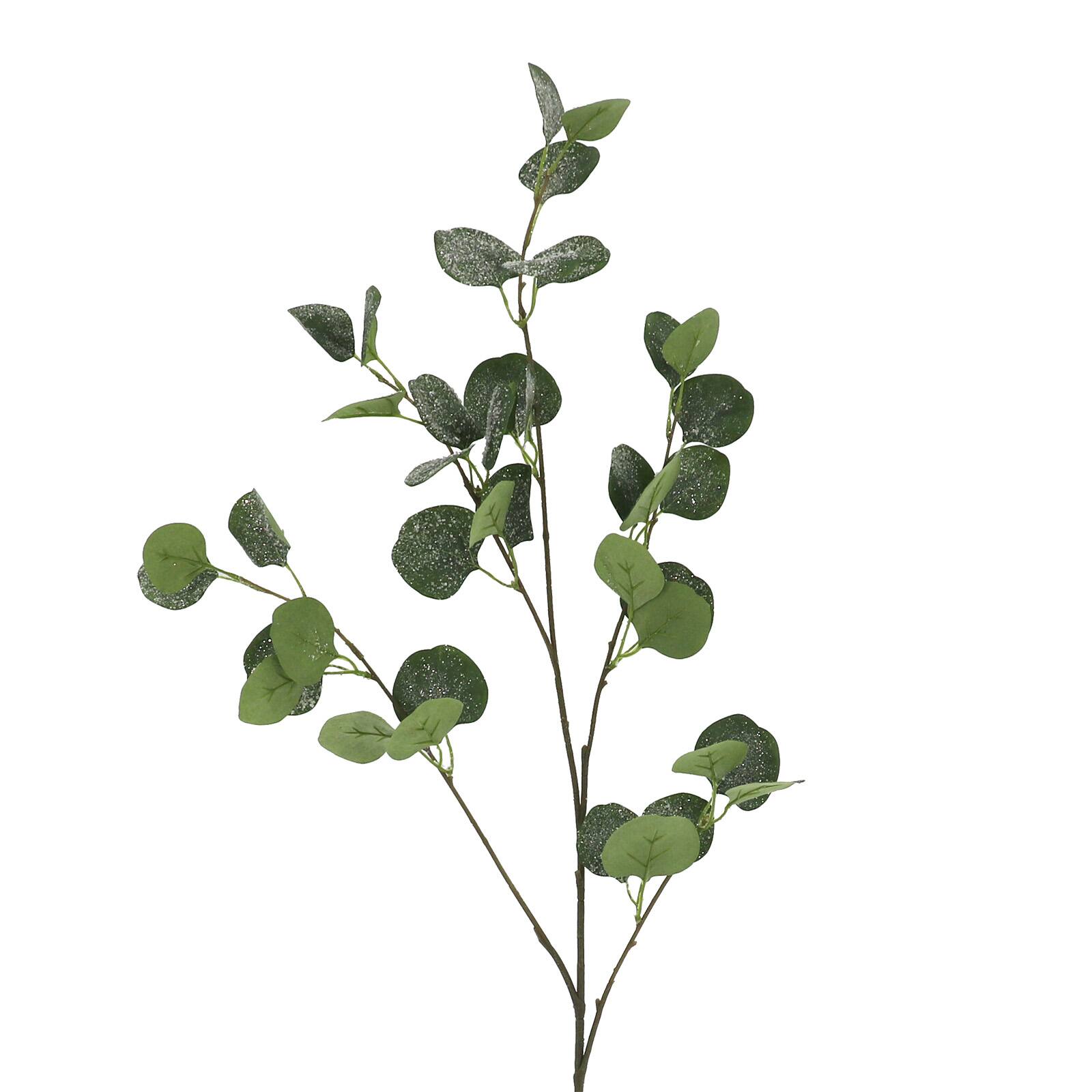 39&#x22; Snowy Eucalyptus Stem by Ashland&#xAE;