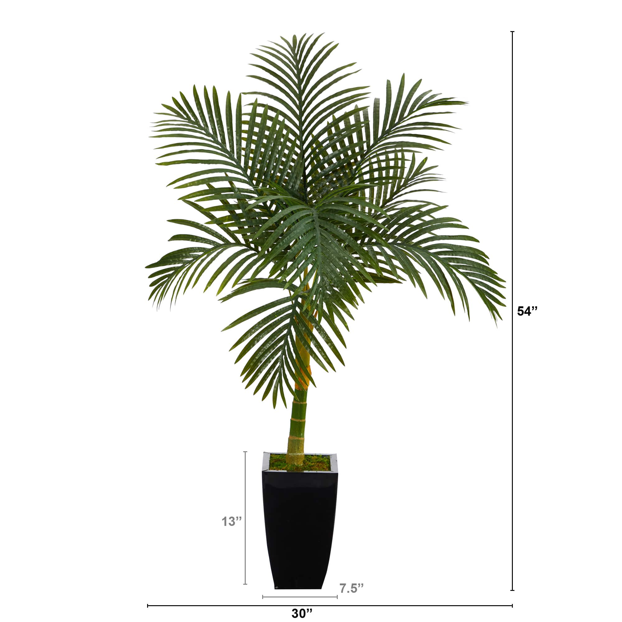 4.5ft. Golden Cane Palm Tree in Black Metal Planter