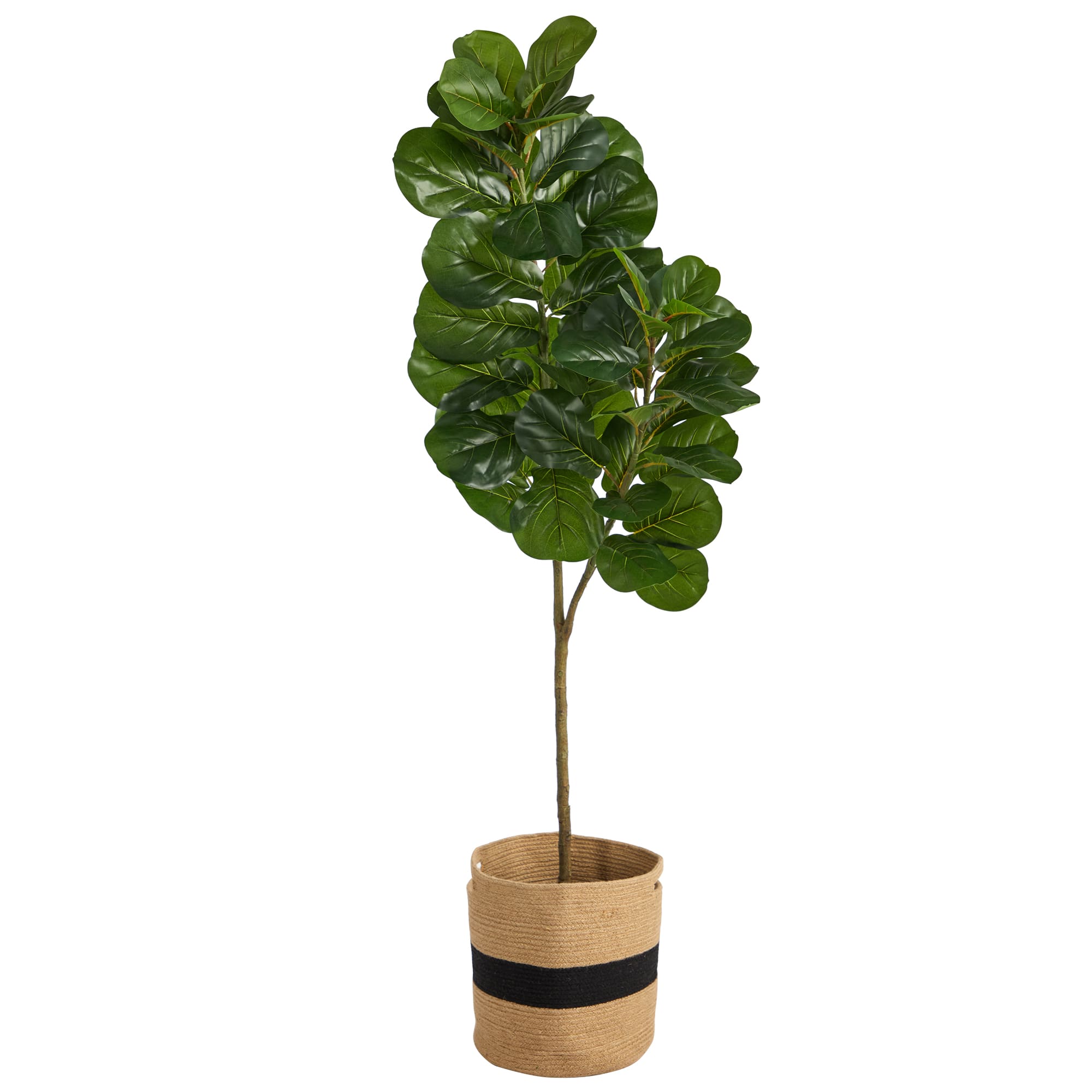 5.5ft. Fiddle Leaf Fig Artificial Tree in Handmade Natural Cotton Planter