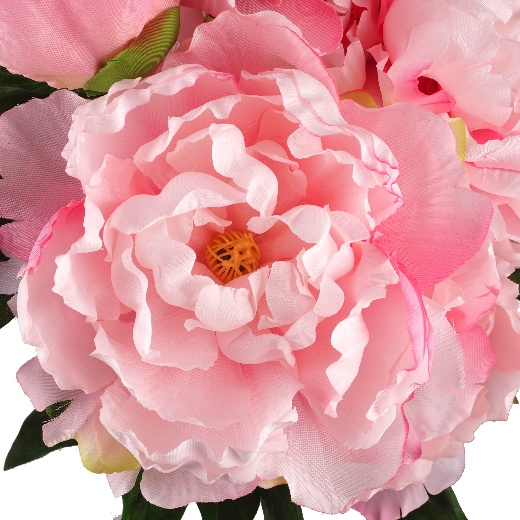 12 Pack: Pink Peony Bush by Ashland&#xAE;