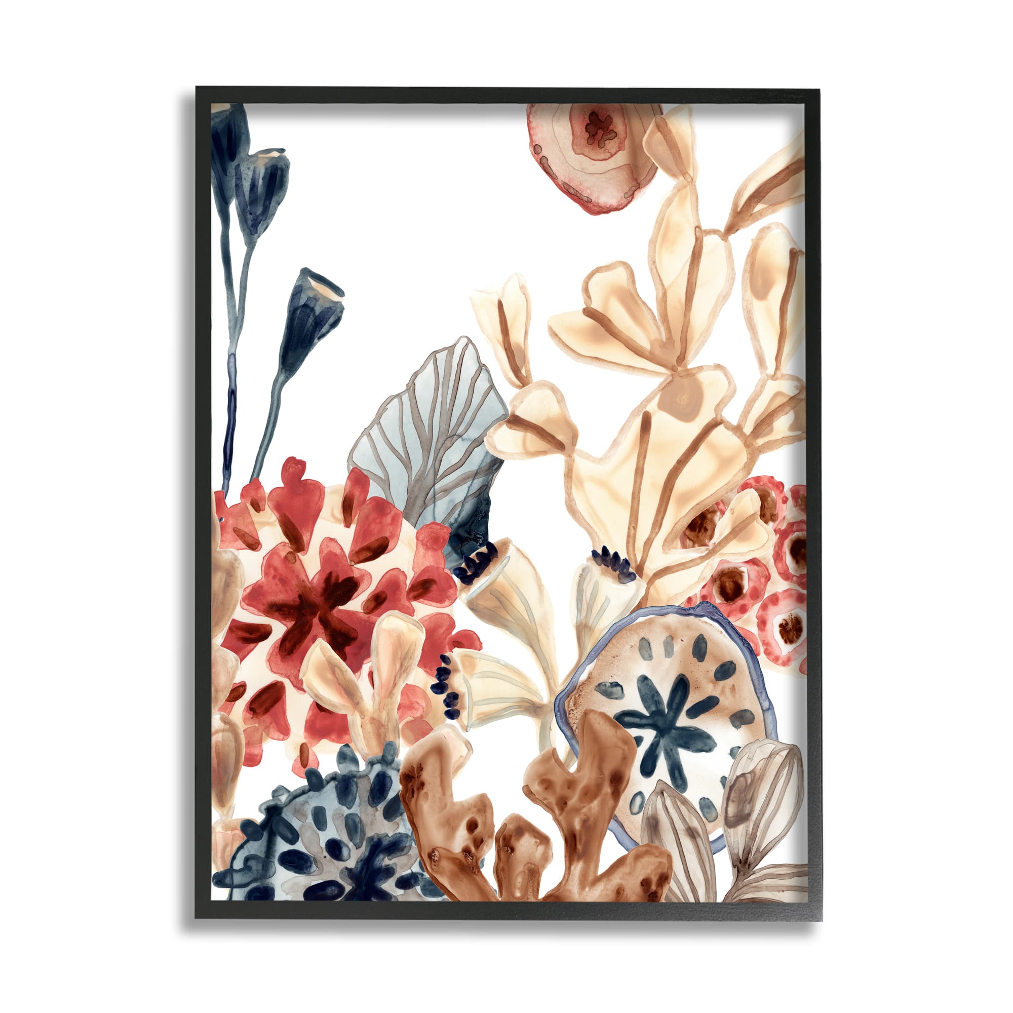 Stupell Industries Aquatic Plant Life Assortment Coral Kelp Sand Dollars Framed Wall Art