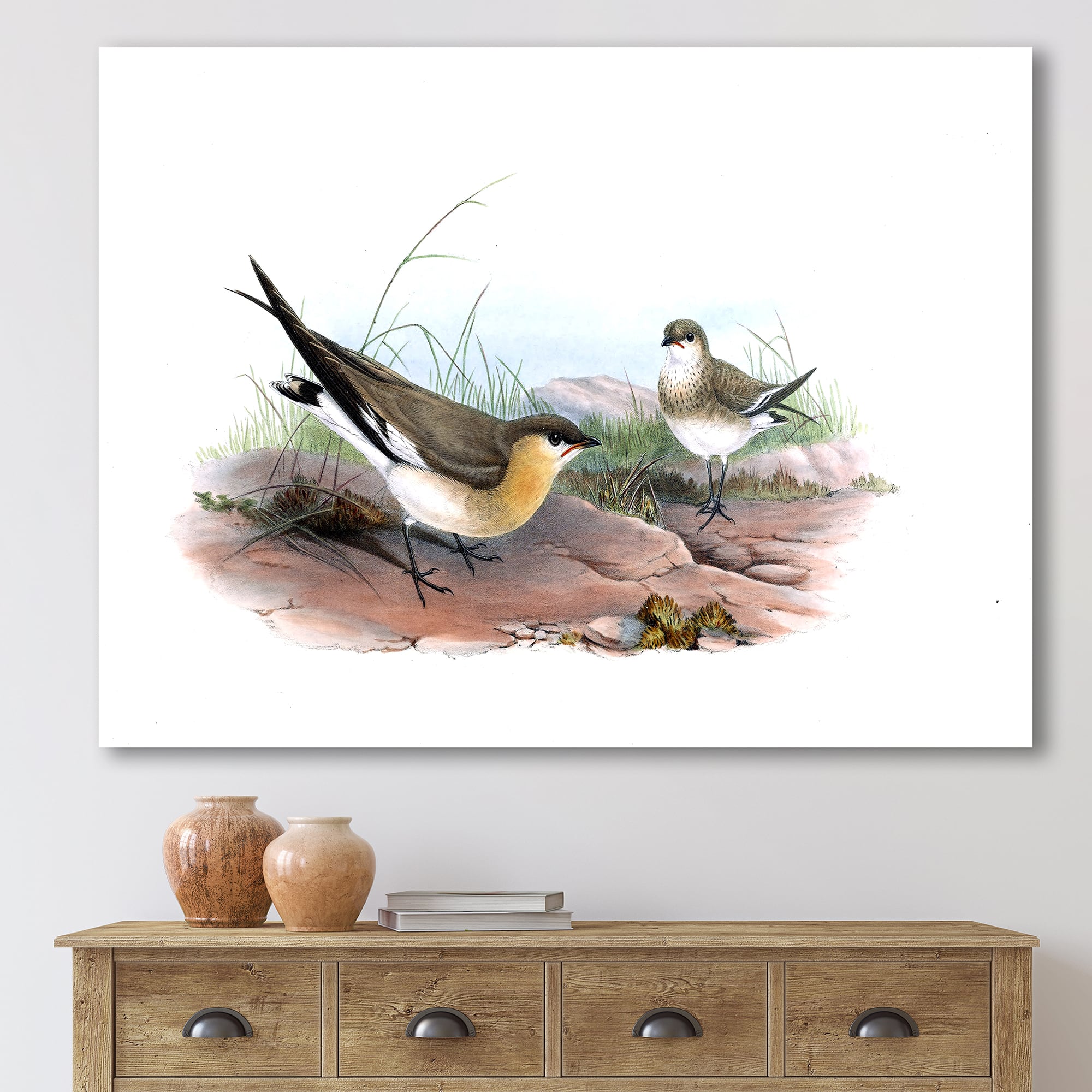 Designart - Vintage Bird Illustration II - Farmhouse Canvas Wall Art Print