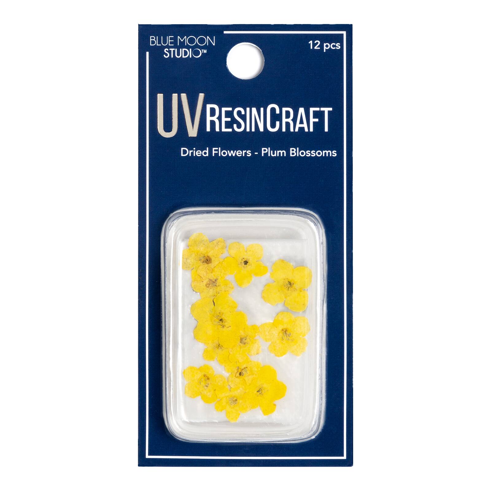 Blue Moon Studio Uv Resin Craft Yellow Dried Plum Blossom Flowers Michaels