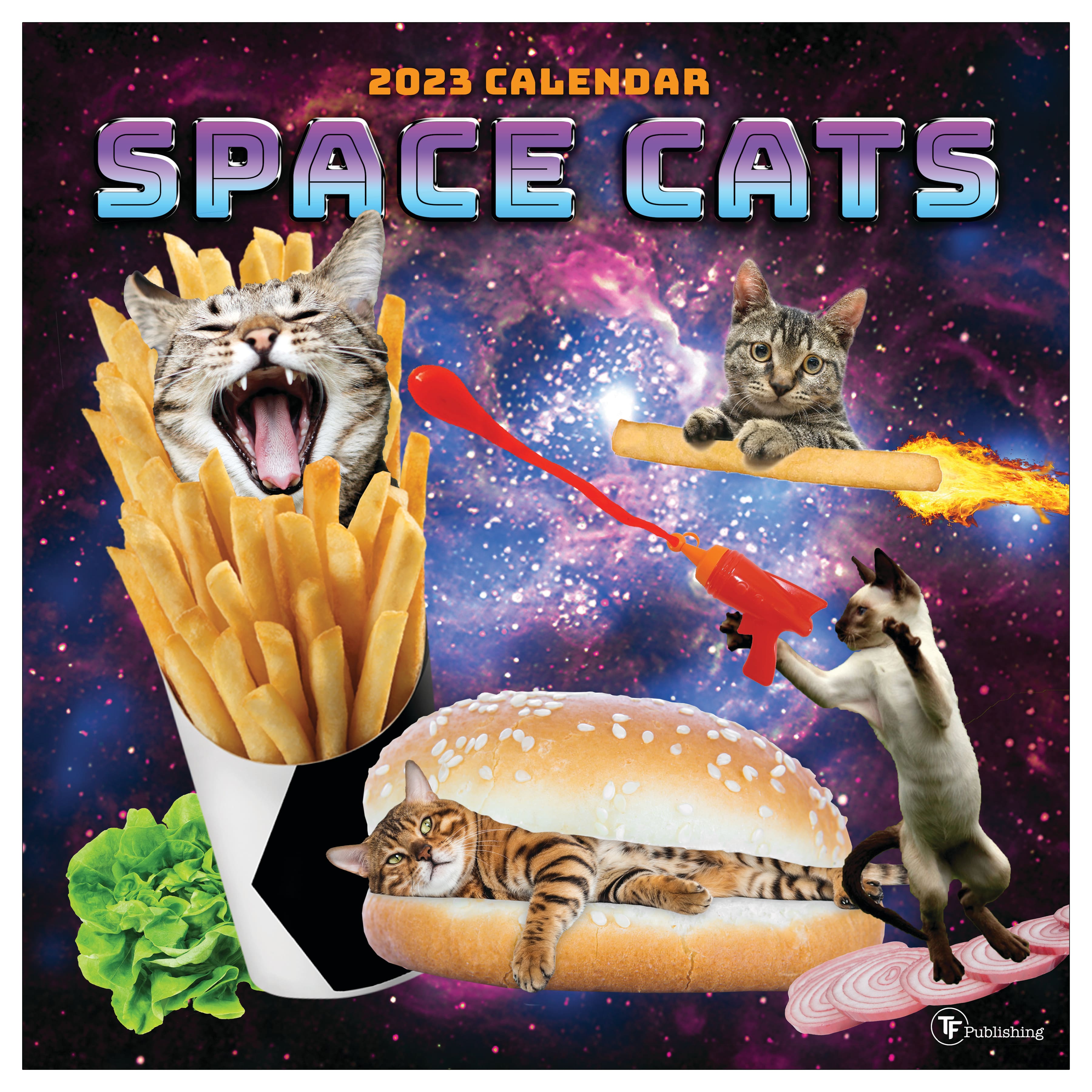 TF Publishing 2023 Space Cats Wall Calendar | Michaels TF Publishing 2023 Space Cats Wall Calendar | Michaels