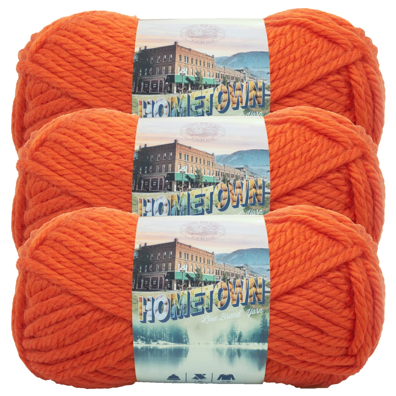 3 Pack Lion Brand&#xAE; Hometown Yarn