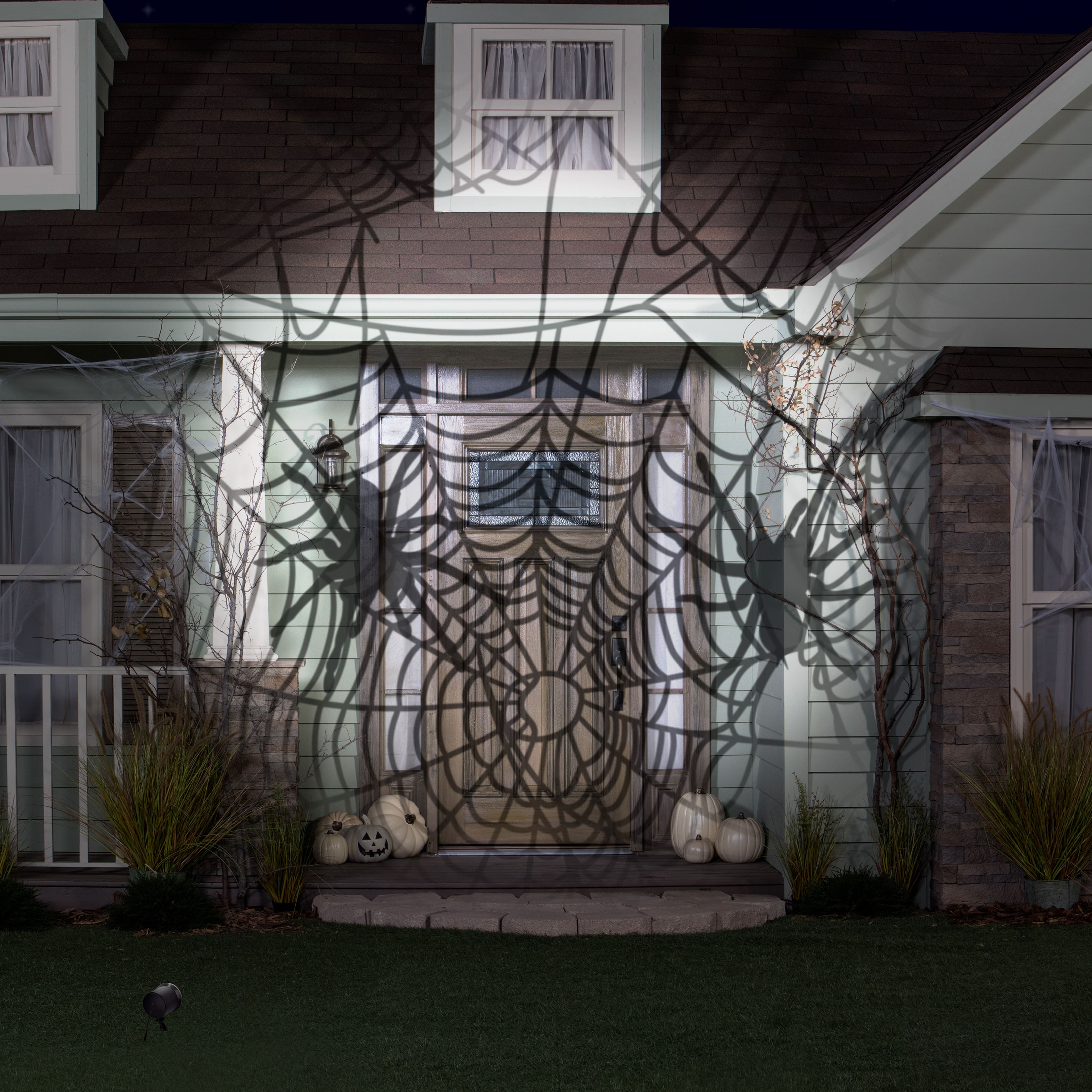 LightShow&#xAE; Projection&#x2122; Cascading Spiders by Ashland&#xAE;