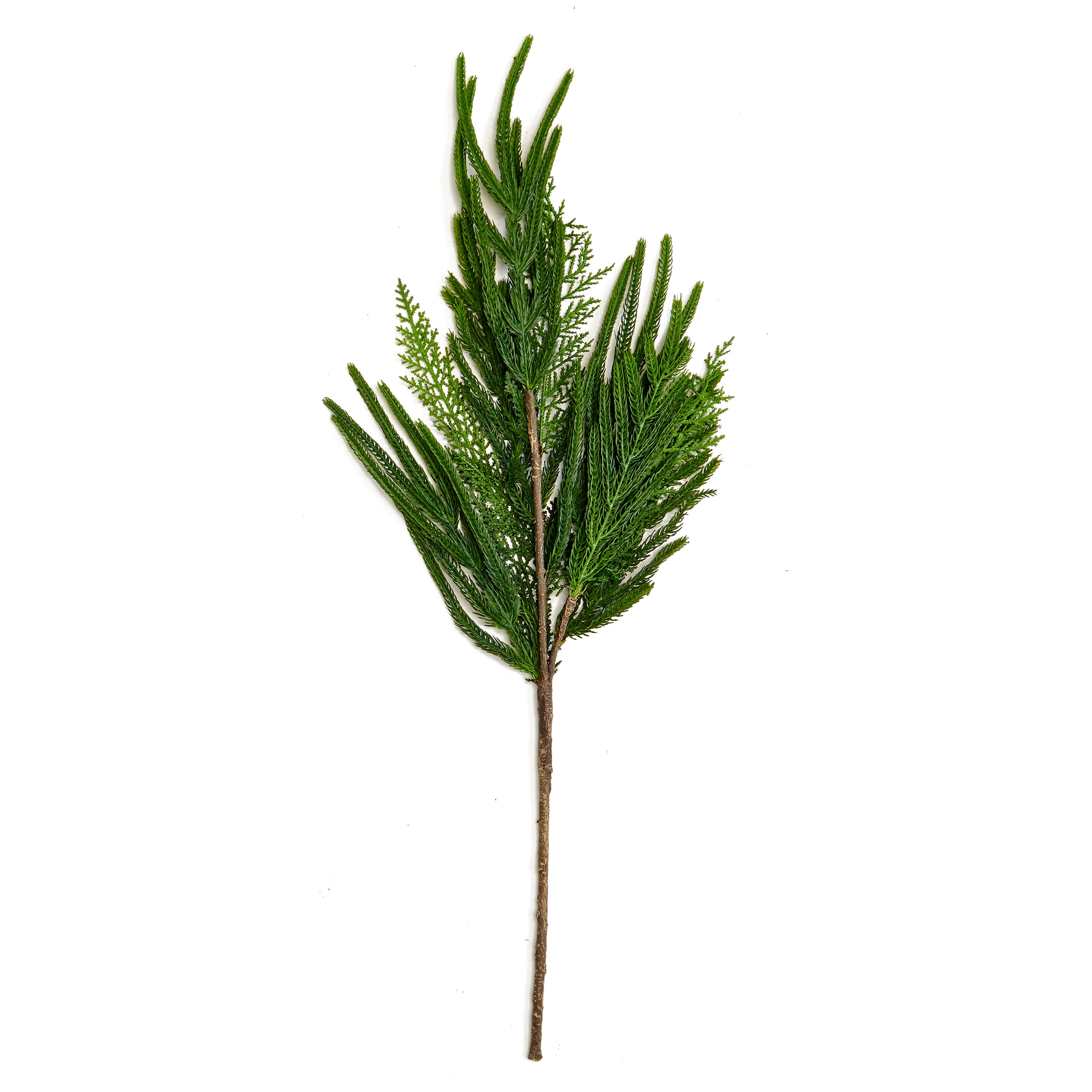 31" Evergreen Pine Cedar Artificial Christmas Spray, 3ct.