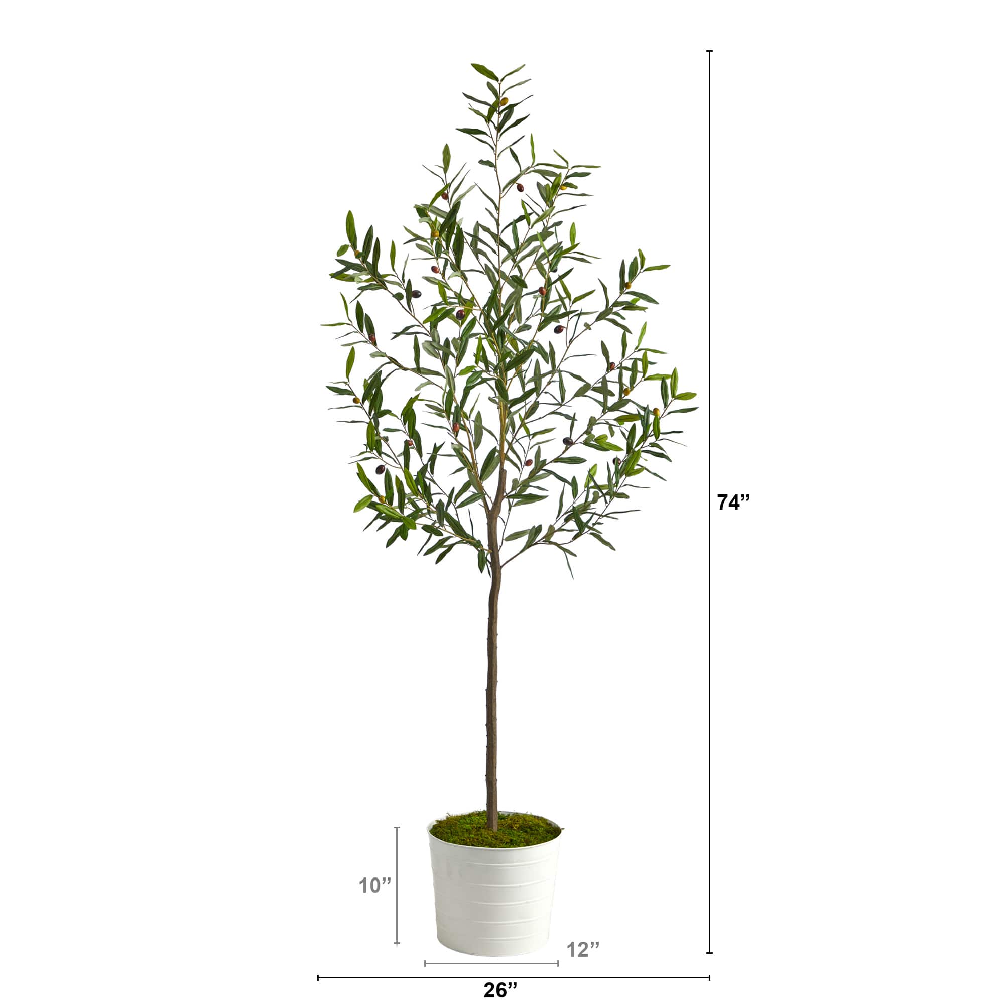 6ft. Olive Artificial Tree in White Tin Planter