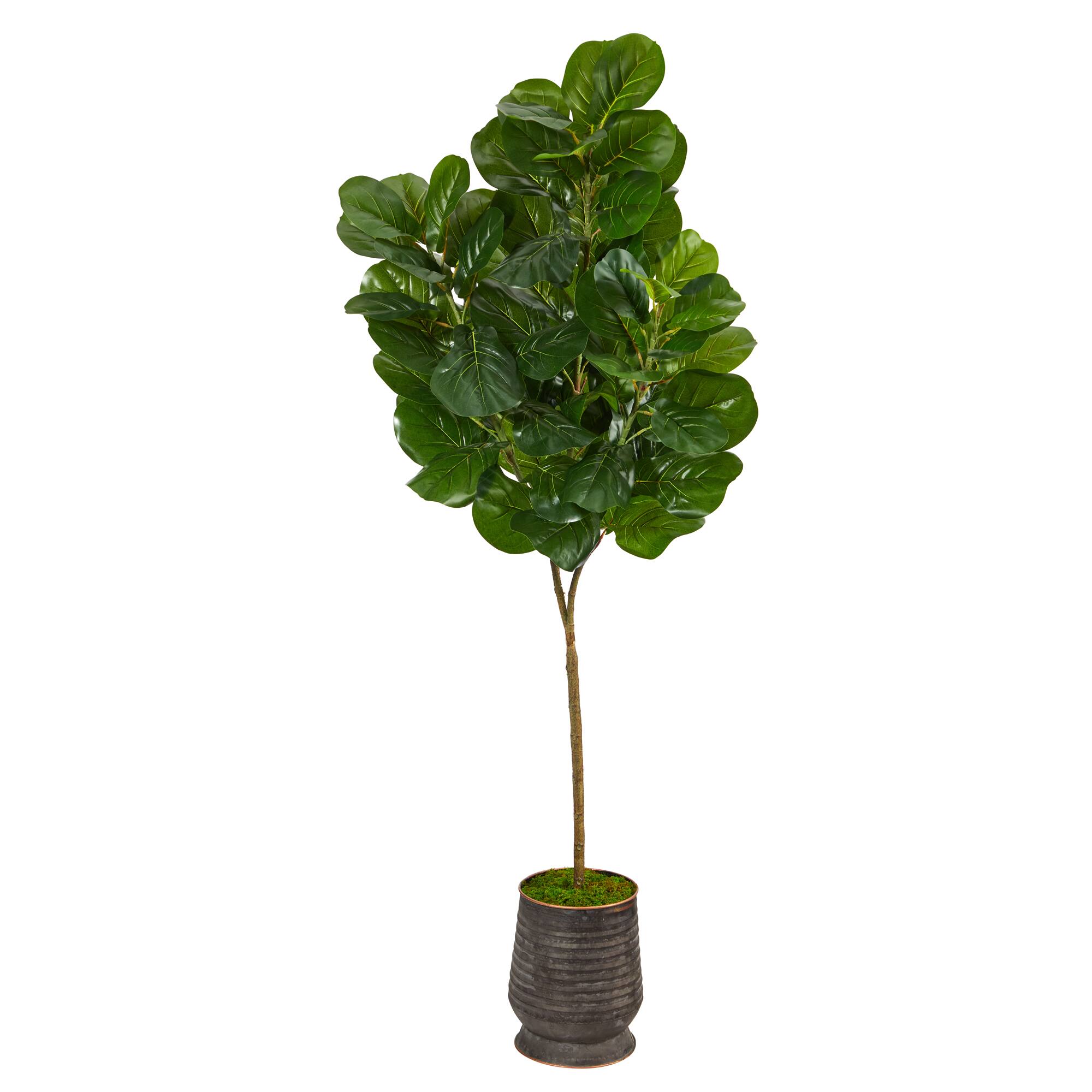 6ft. Fiddle Leaf Fig Tree In Ribbed Metal Planter 