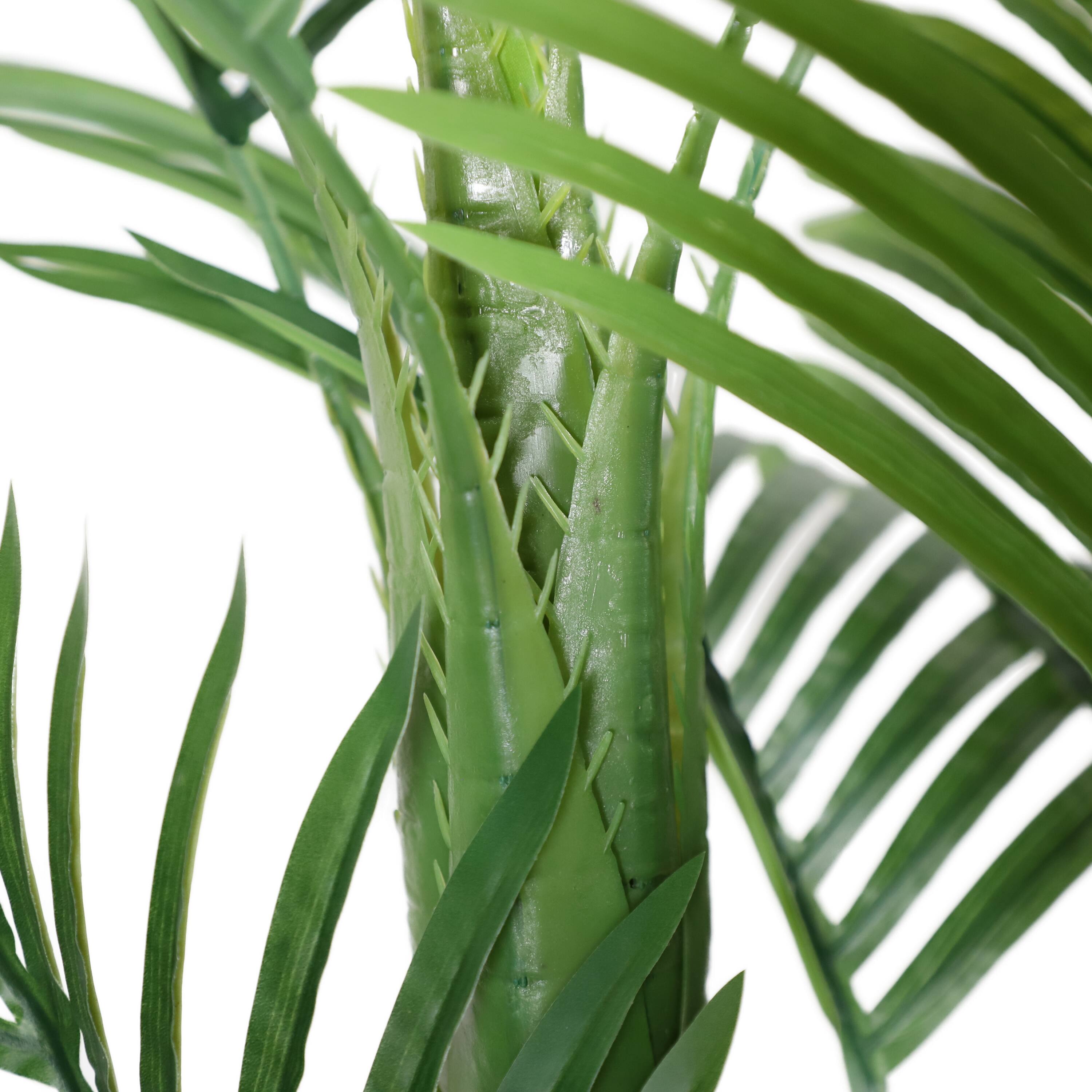 6 Pack: 5ft. Potted Areca Palm Tree