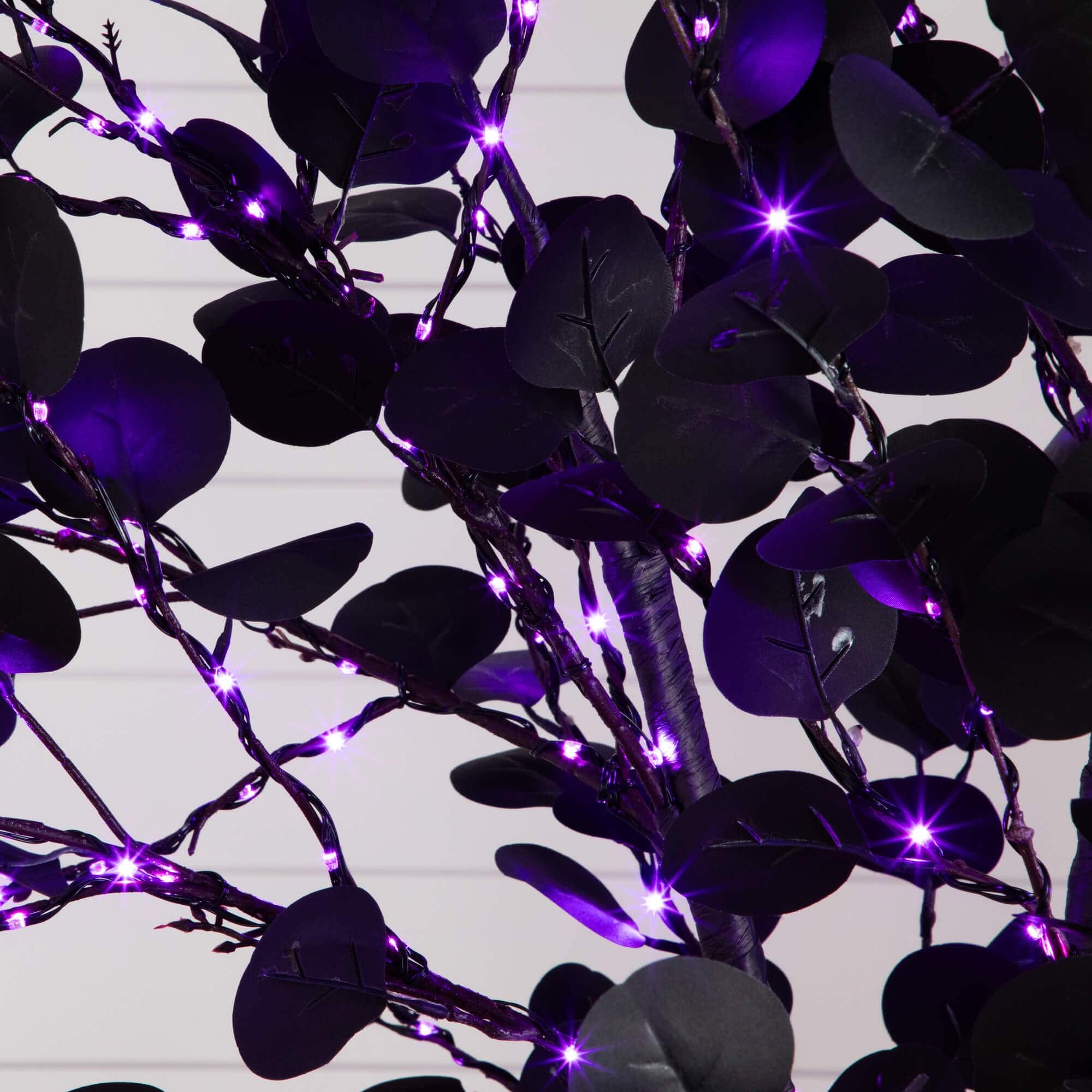 8ft. Pre-Lit Artificial Halloween Black Eucalyptus Tree with 540 Orange & Purple LED Lights