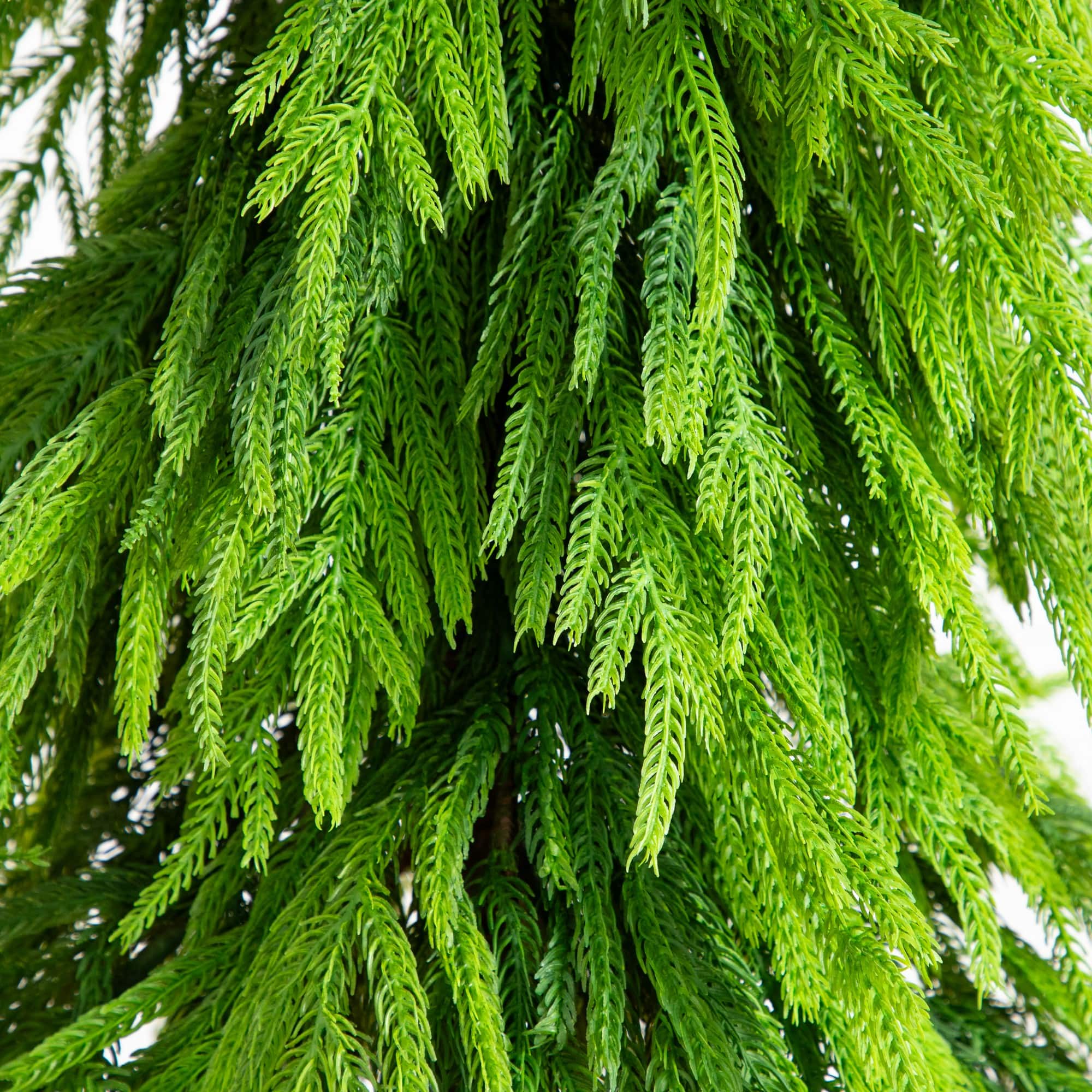 5ft. Unlit Down Swept Real Touch Norfolk Pine Artificial Christmas Tree in Nursery Pot