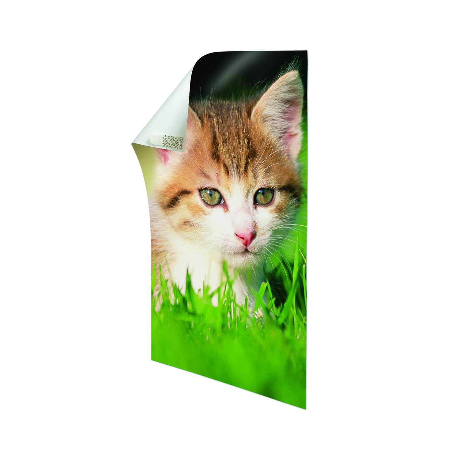 3M Command™ Poster Strips