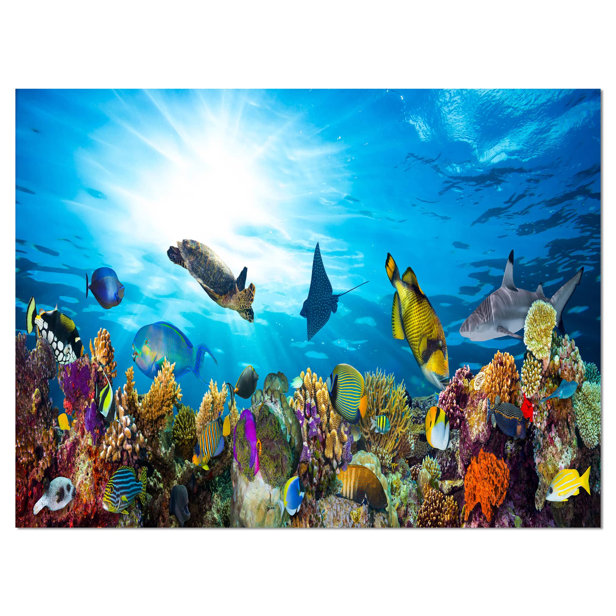 Designart - Colorful Coral Reef with Fishes - Seascape Canvas Art Print