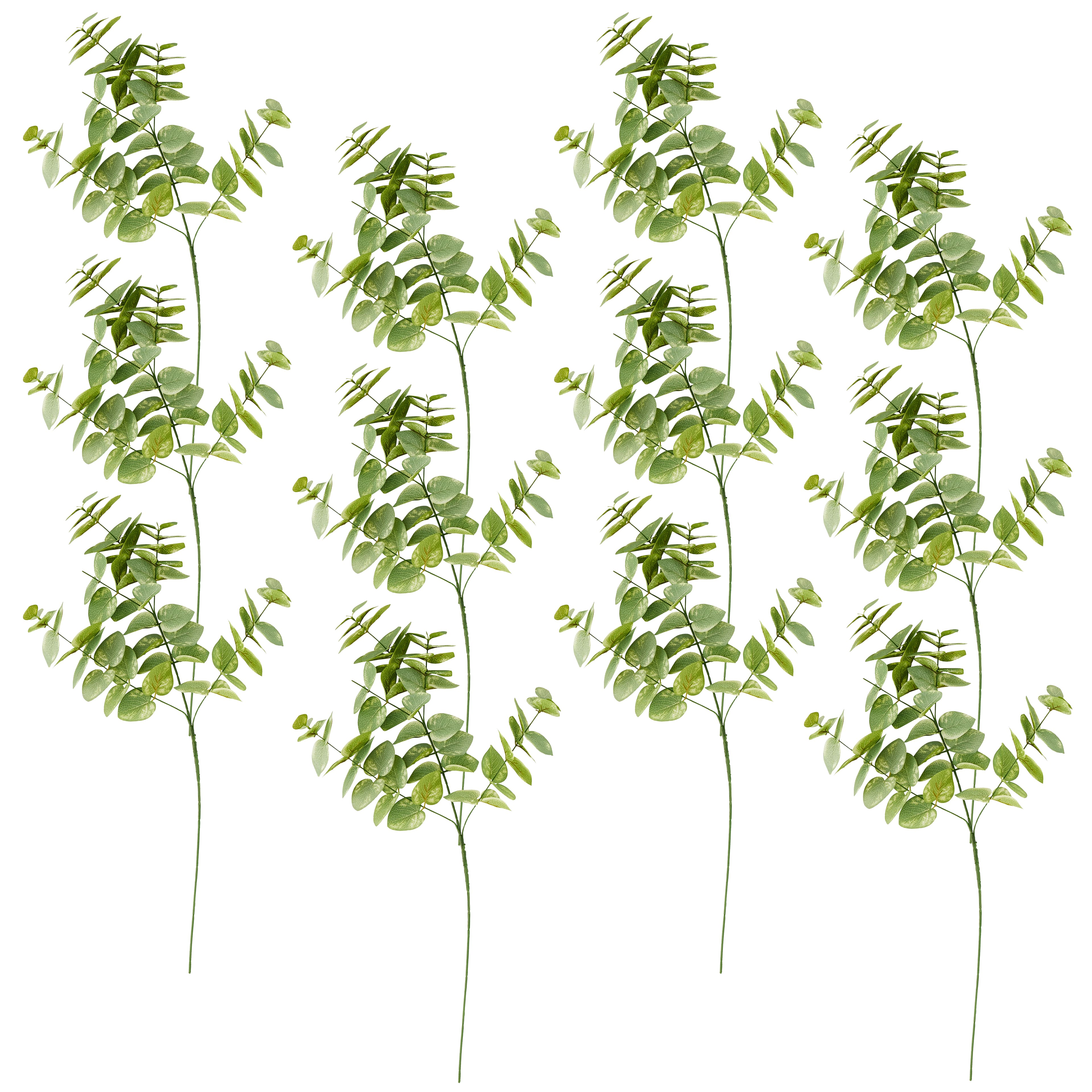 12 Pack: Green Eucalyptus Branch by Ashland®