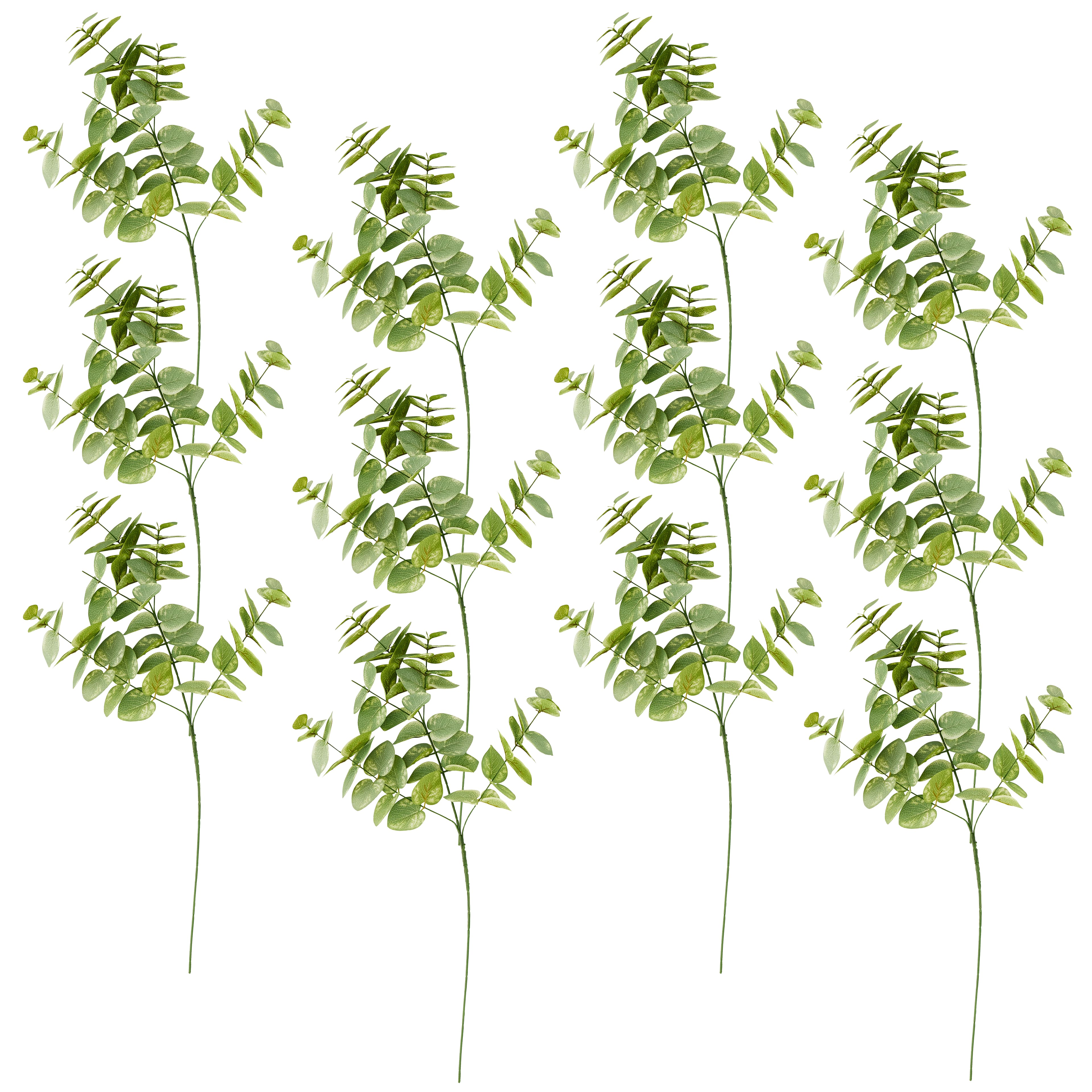 12 Pack: Green Eucalyptus Branch by Ashland&#xAE;