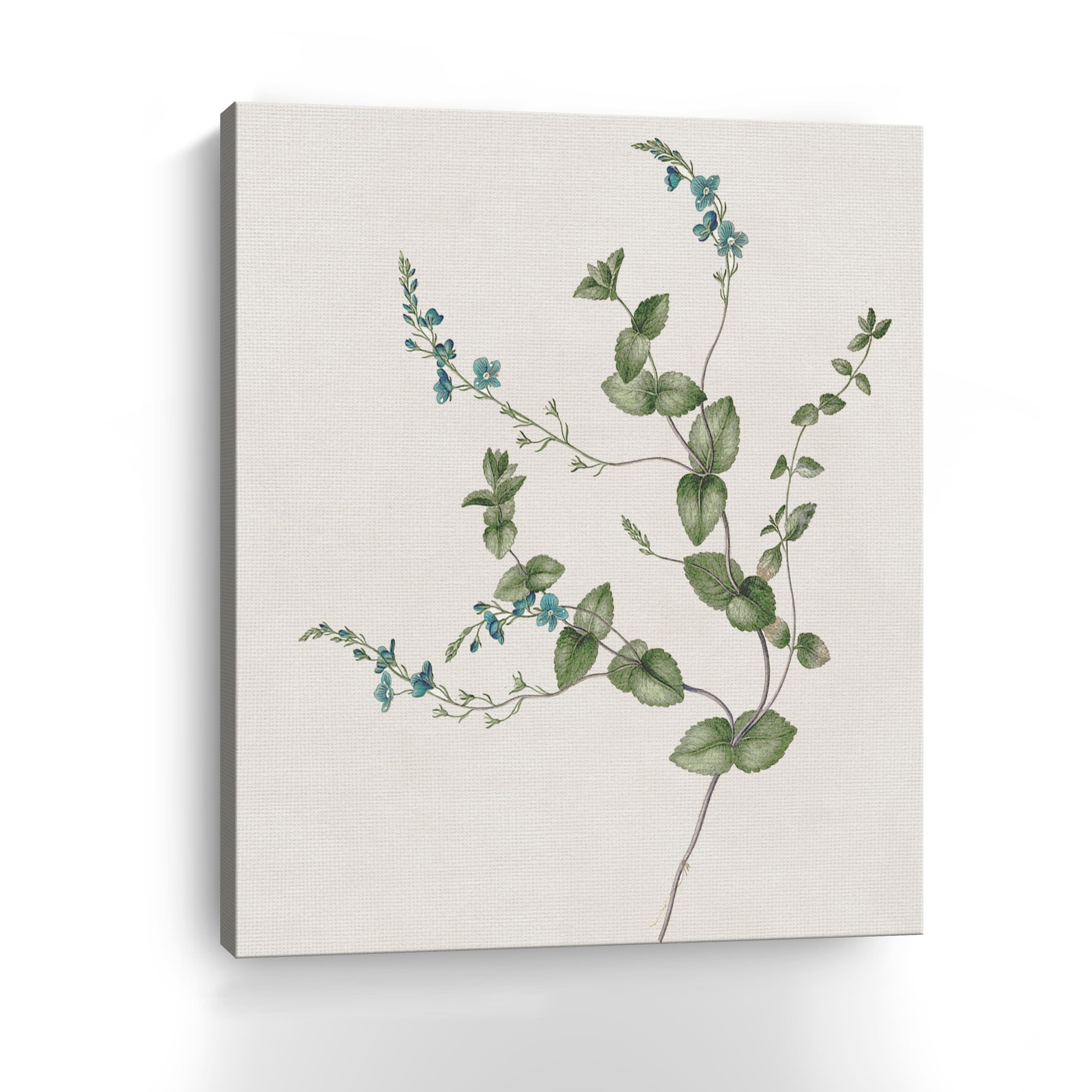 Blue Wispy II  Canvas Giclee