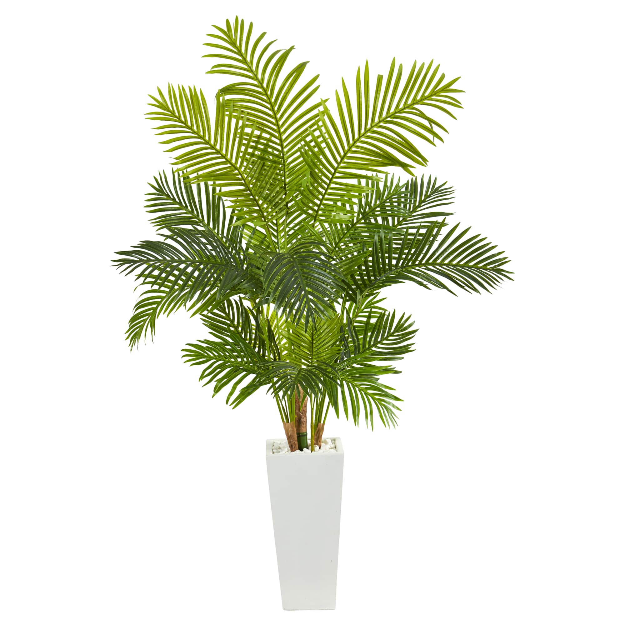 5.5ft. Hawaii Palm Tree in Tall White Planter | Michaels
