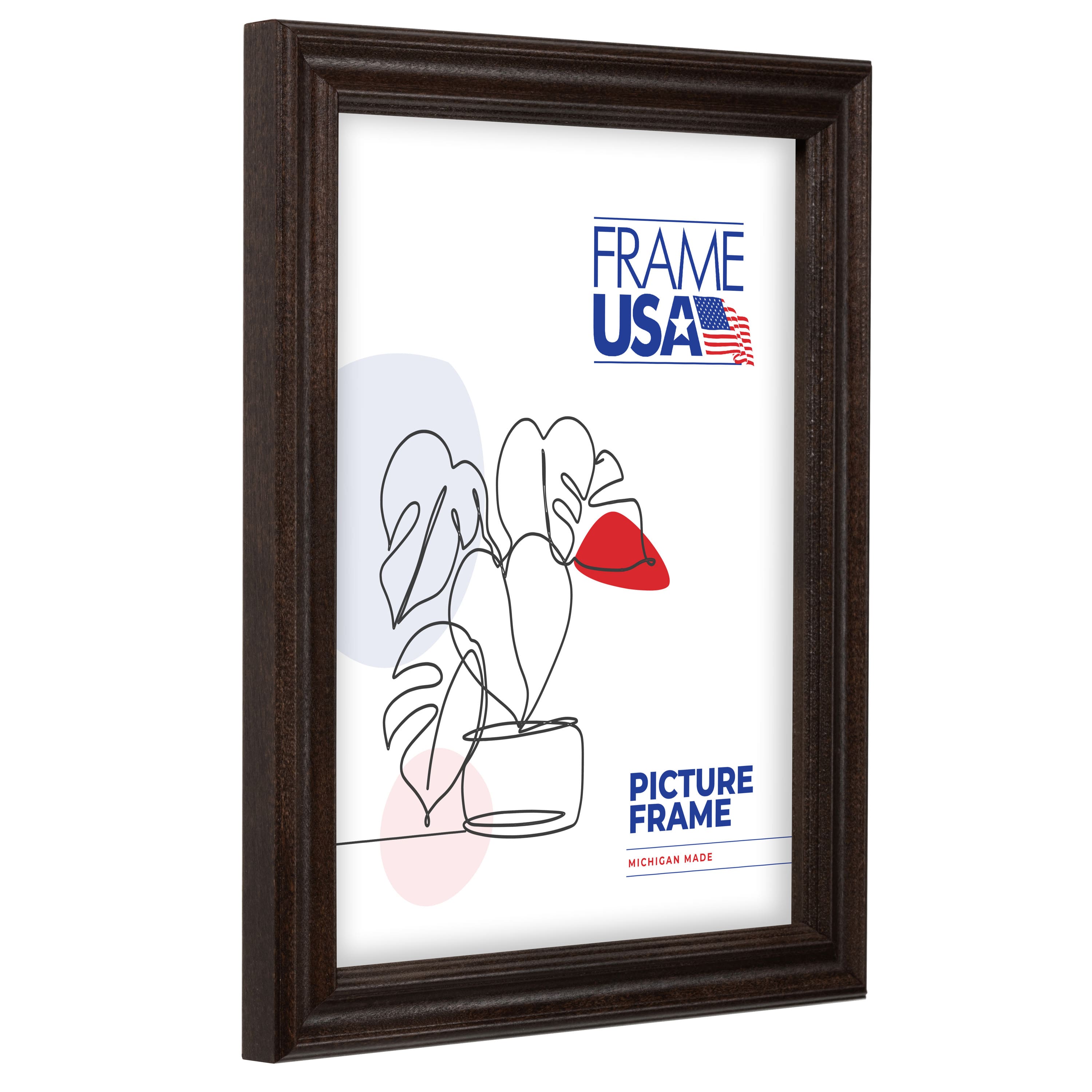 Frame USA Classic Walnut Single Image Picture Frame