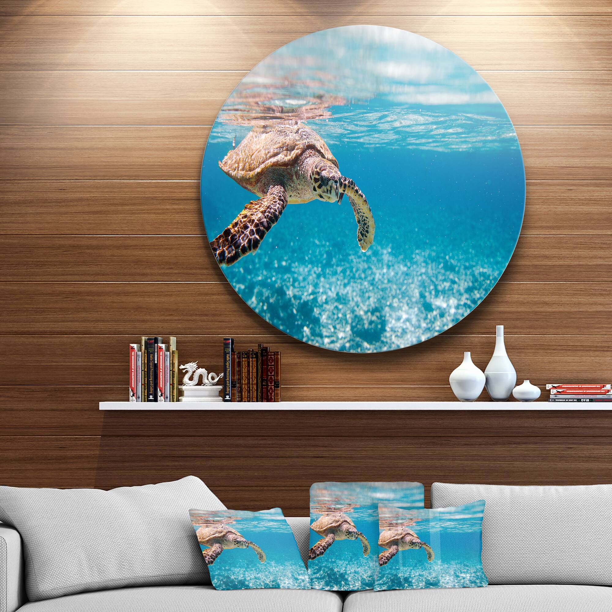 Designart - Large Hawksbill Sea Turtle' Disc Abstract Metal Circle Wall Decor