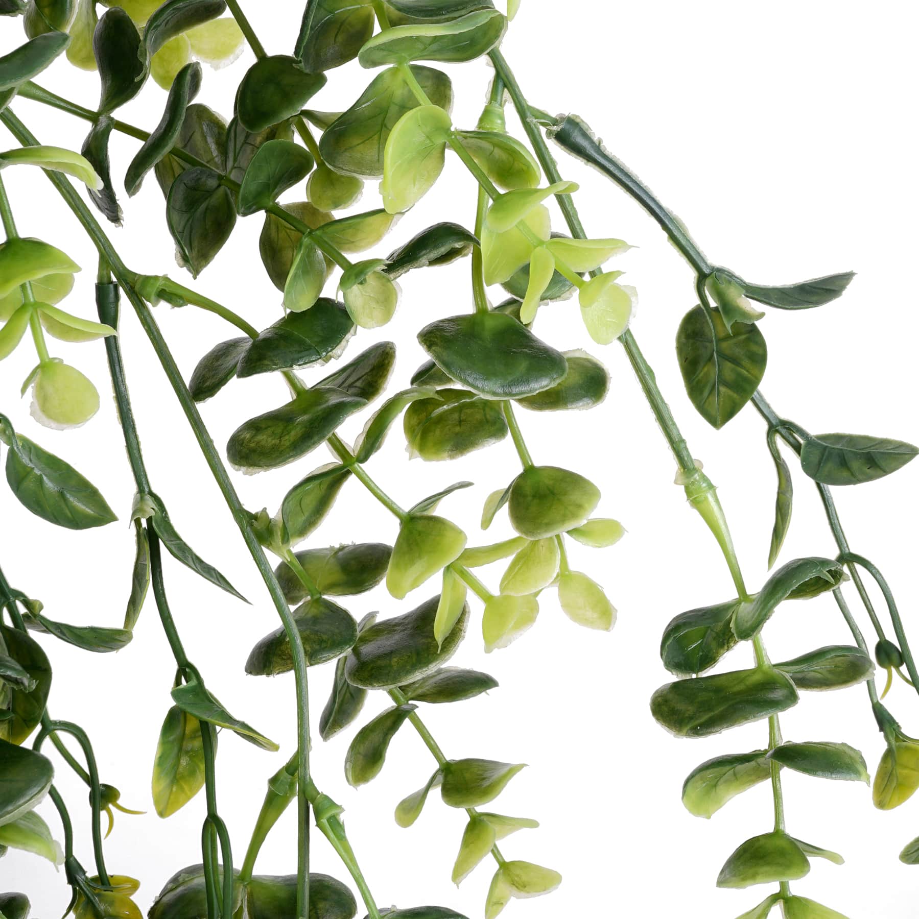 Green Hanging Eucalyptus Bush by Ashland&#xAE;