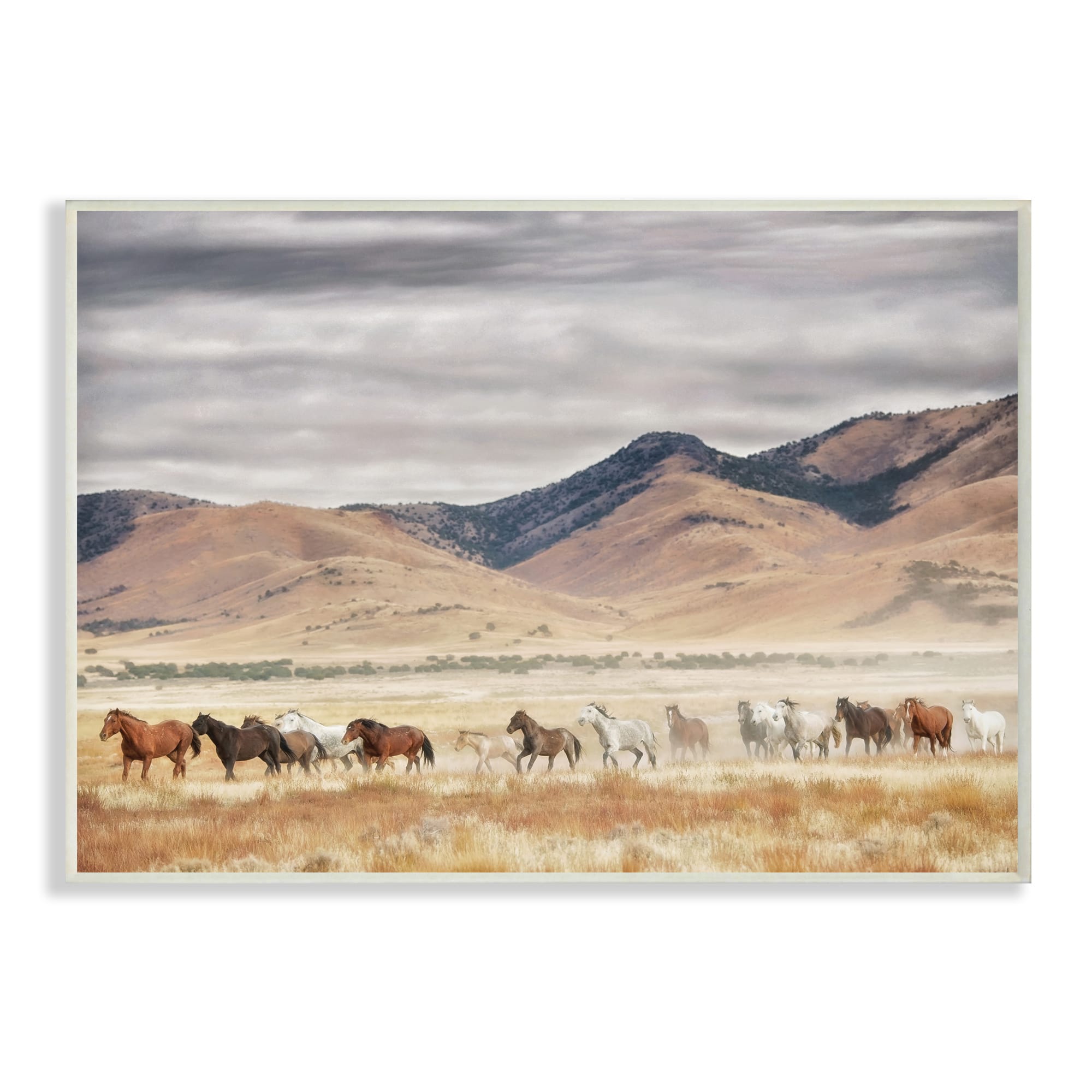 Stupell Industries Wild Horses Roaming Across Western Landscape Wall Plaque